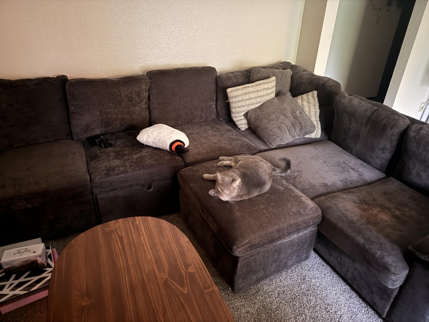 108 Inch Sectional Sleeper Sofa with Pull Out Bed, U Shaped 7 Seat Modular Sectional Sofa with Storage, Sectional Couches for Living Room, Cloud Modular Couch,Removable Sofa Cover, Dark Grey - Customer Photo 3