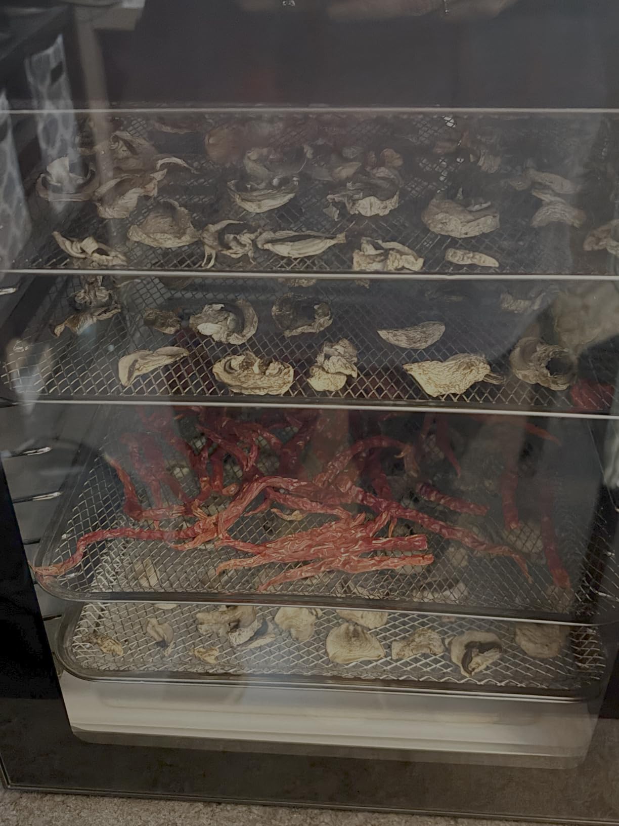 Food Dehydrator, 12 Stainless Steel Trays in 850W Dehydrator Machine, 48 Hour Digital Timer and 165°F Temperature Adjustable, Food Dryer for Jerky, Meat, Dog Treats, Fruit, Herbs - Customer Photo 1