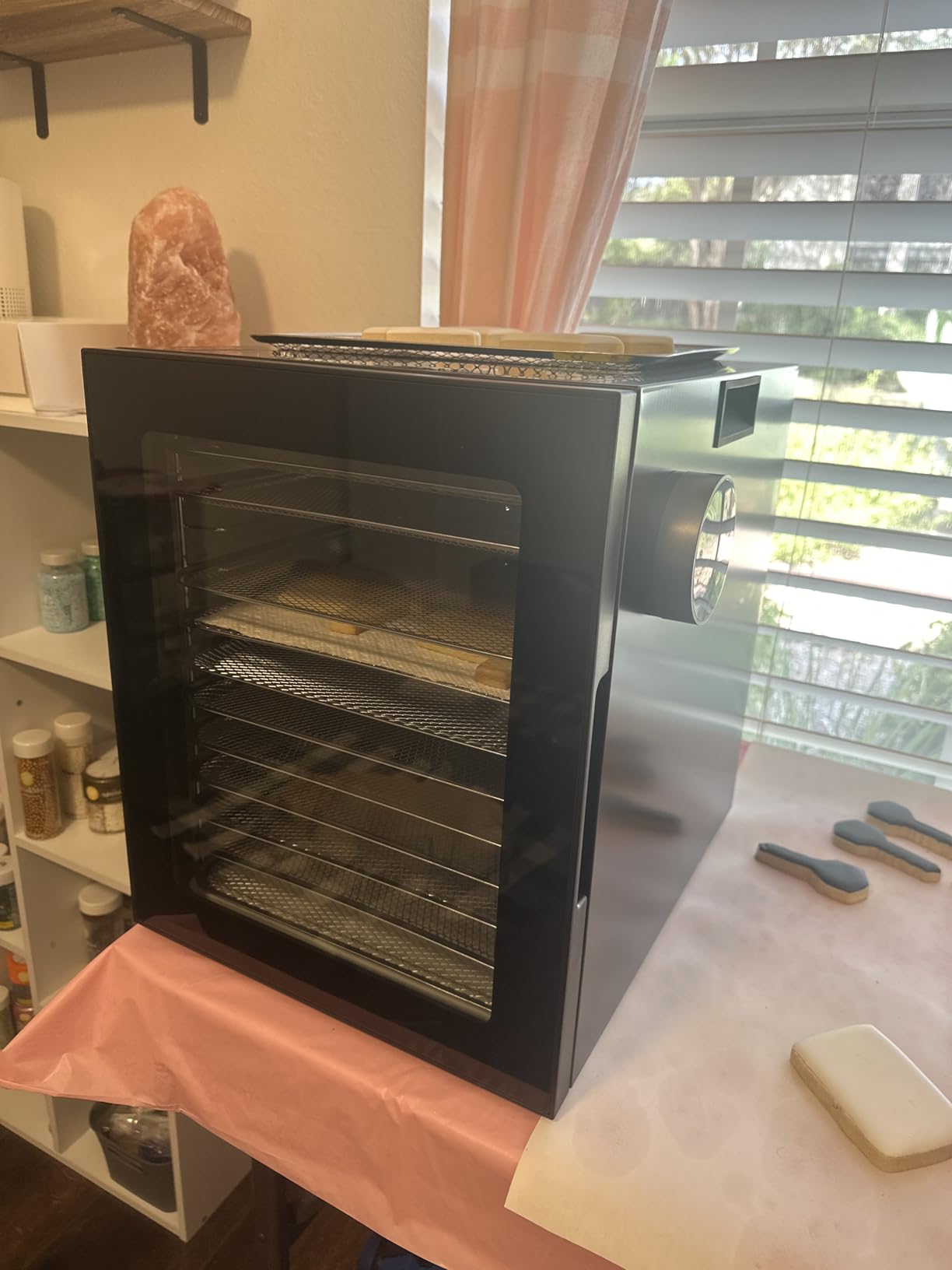Food Dehydrator, 12 Stainless Steel Trays in 850W Dehydrator Machine, 48 Hour Digital Timer and 165°F Temperature Adjustable, Food Dryer for Jerky, Meat, Dog Treats, Fruit, Herbs - Customer Photo 3