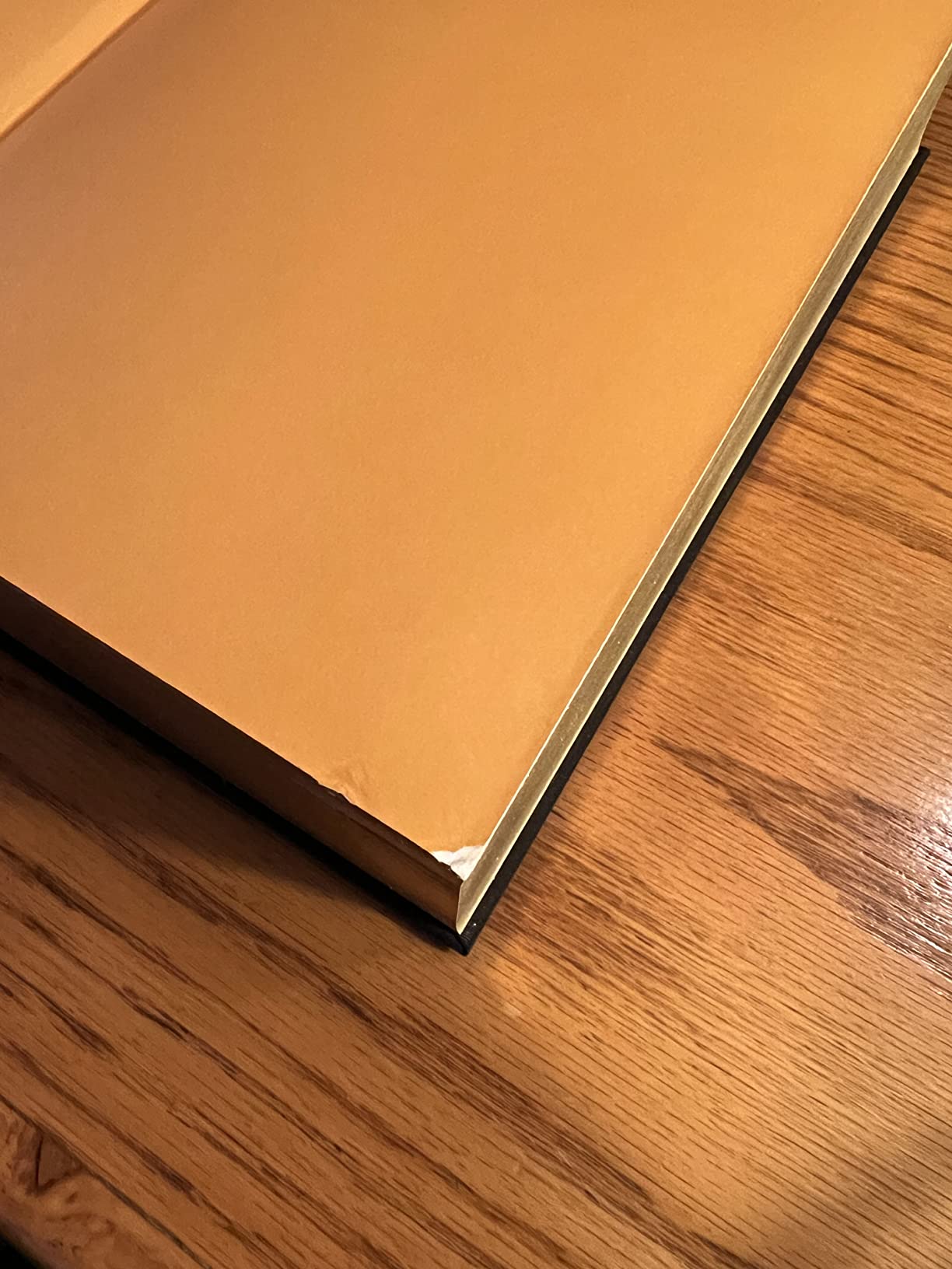 The Lord of the Rings Deluxe Illustrated by the Author: A Fully Illustrated Version of the Classic Fantasy Novels (Tolkien Illustrated Editions) - Customer Photo 3