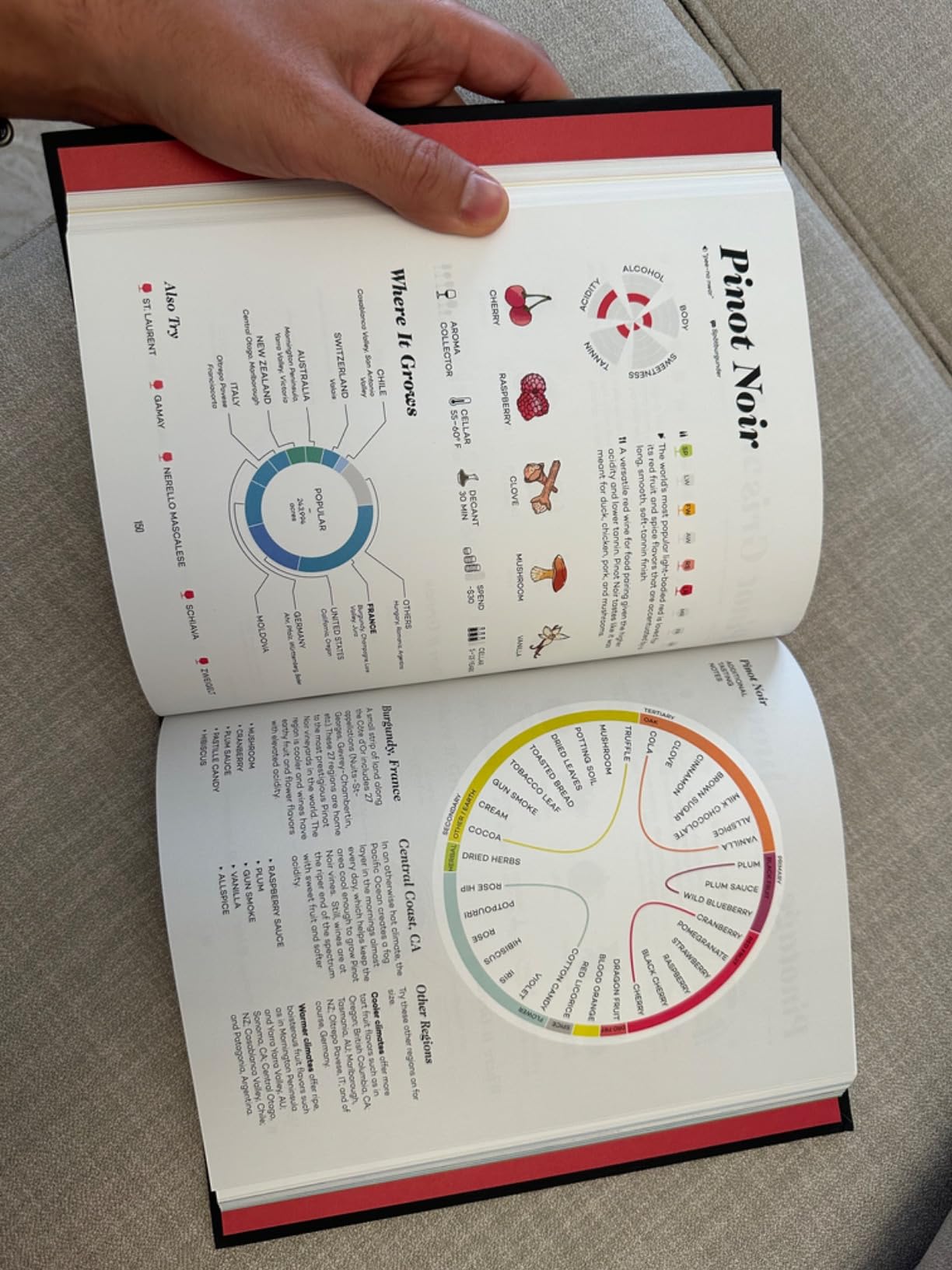 Wine Folly: Magnum Edition: The Master Guide - Customer Photo 1