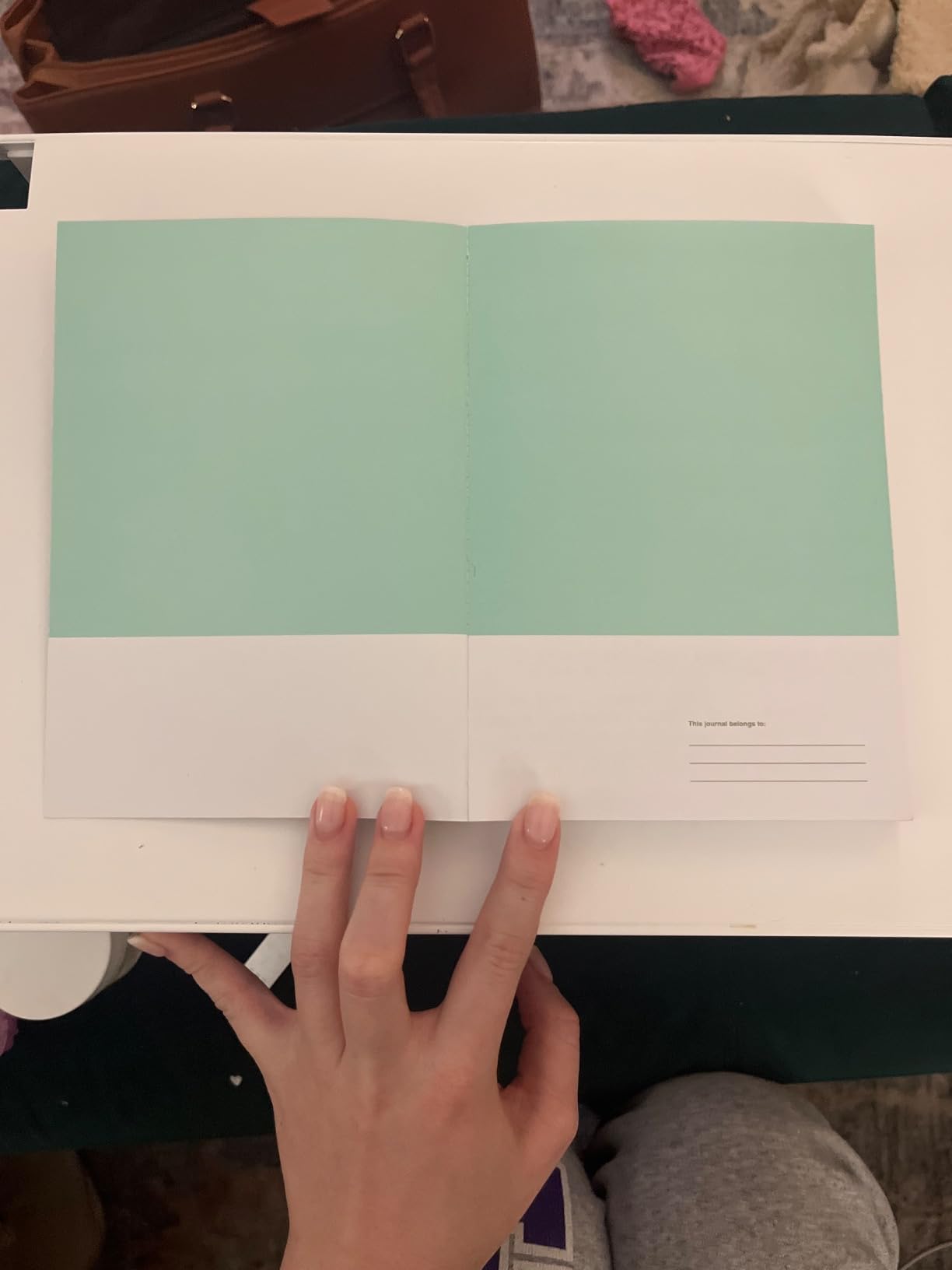 Pantone Chips Journal (Pantone Color Chip Card Notebook, Stationery Gift for Artist or Designer) Customer Review Pantone Chips Journal (Pantone Color Chip Card Notebook, Stationery Gift for Artist or Designer) - Customer Photo 1