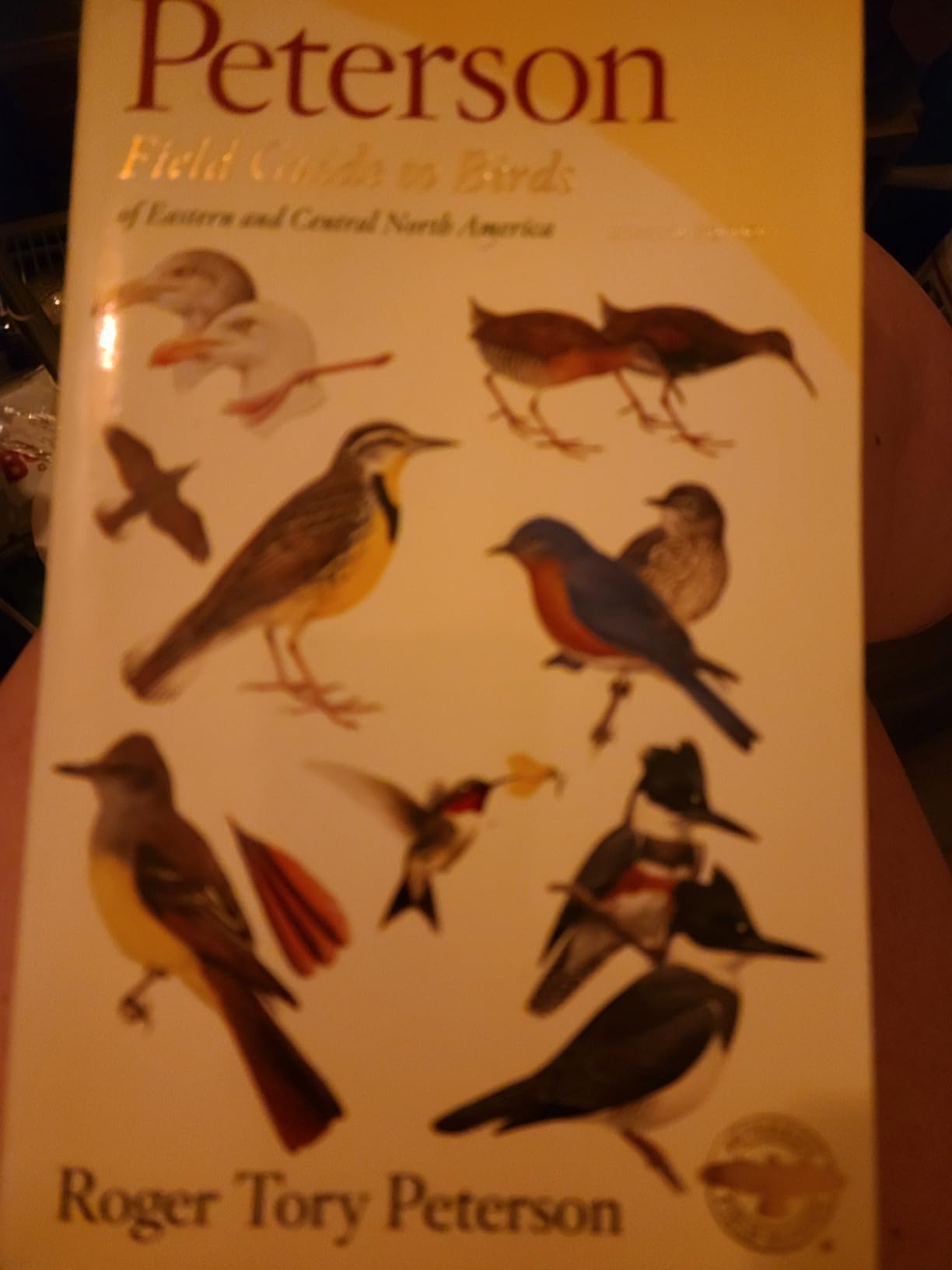 Peterson Field Guide To Birds Of Eastern & Central North America, Seventh Ed.: An Essential Field Guide for Birdwatchers with Identification Tools and ... of Eastern and Central North American Birds - Customer Photo 4