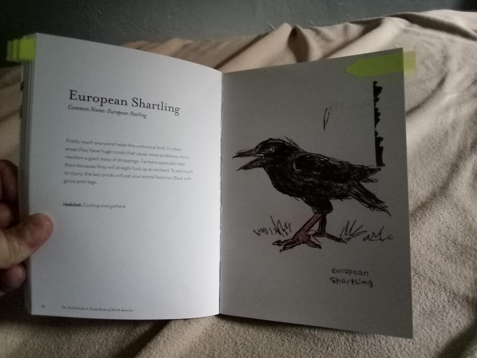 The Field Guide to Dumb Birds of North America (Bird Books, Books for Bird Lovers, Humor Books) - Customer Photo 1