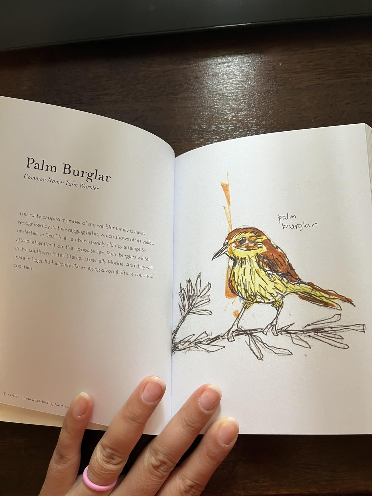 The Field Guide to Dumb Birds of North America (Bird Books, Books for Bird Lovers, Humor Books) - Customer Photo 3