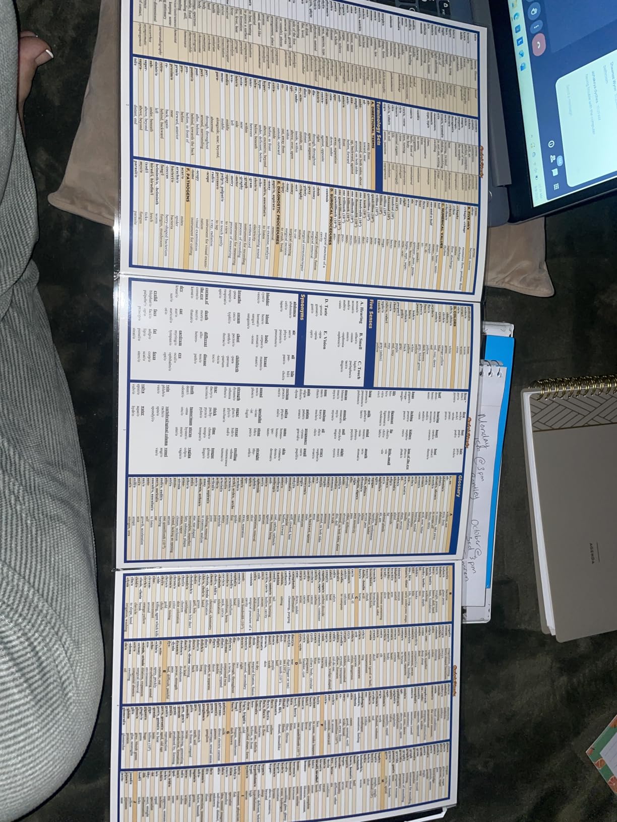 Medical Terminology: The Basics QuickStudy Laminated Reference Guide (QuickStudy Academic) - Customer Photo 1