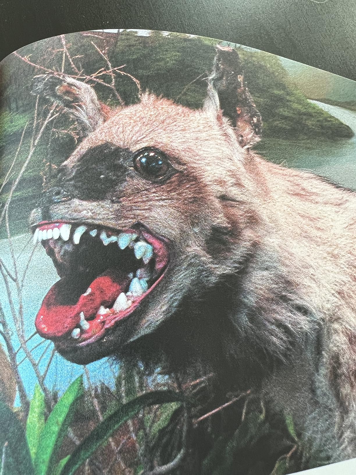 Crap Taxidermy - Customer Photo 1