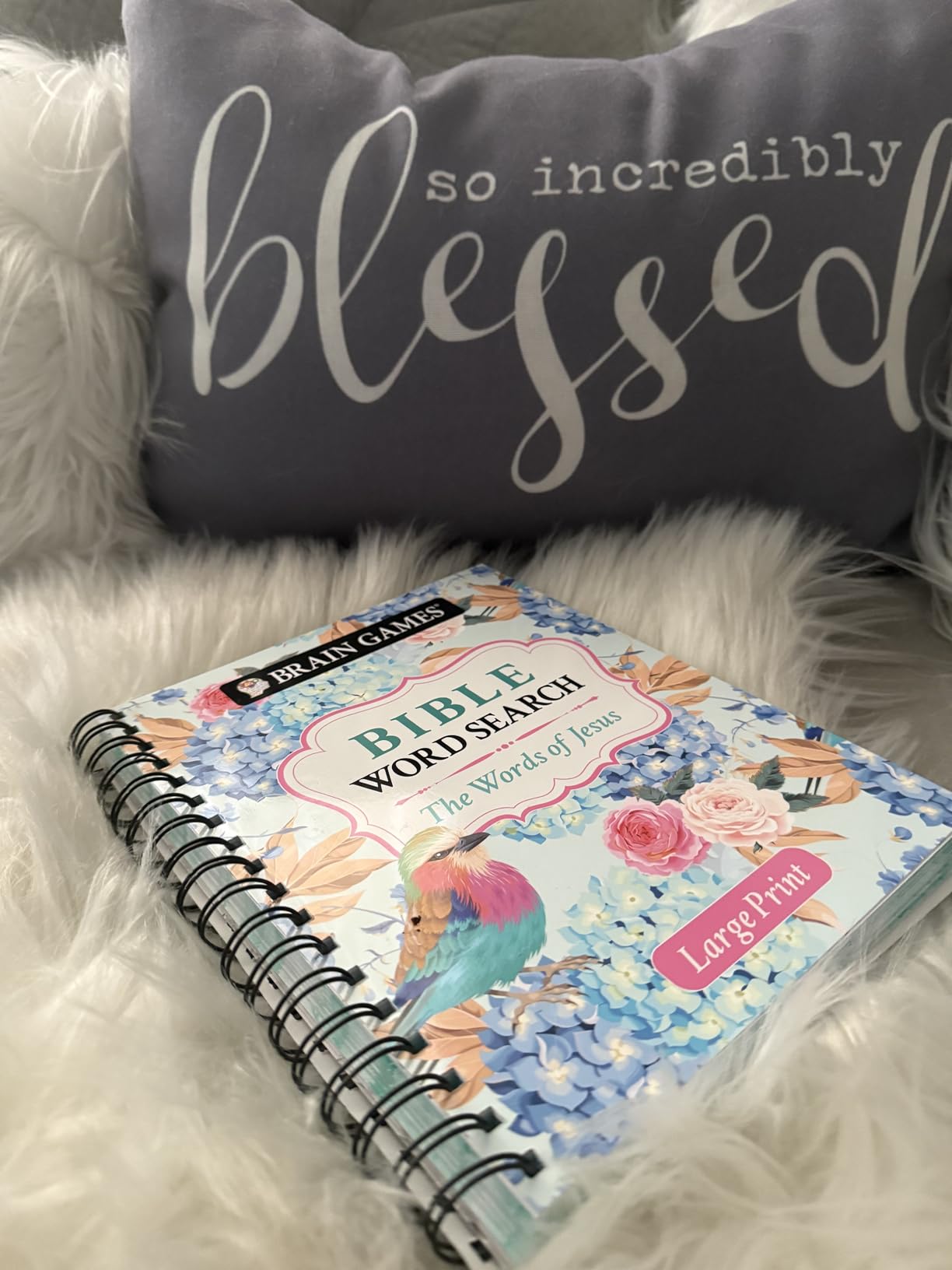 Brain Games - Large Print Bible Word Search: The Words of Jesus (Brain Games - Bible) - Customer Photo 2