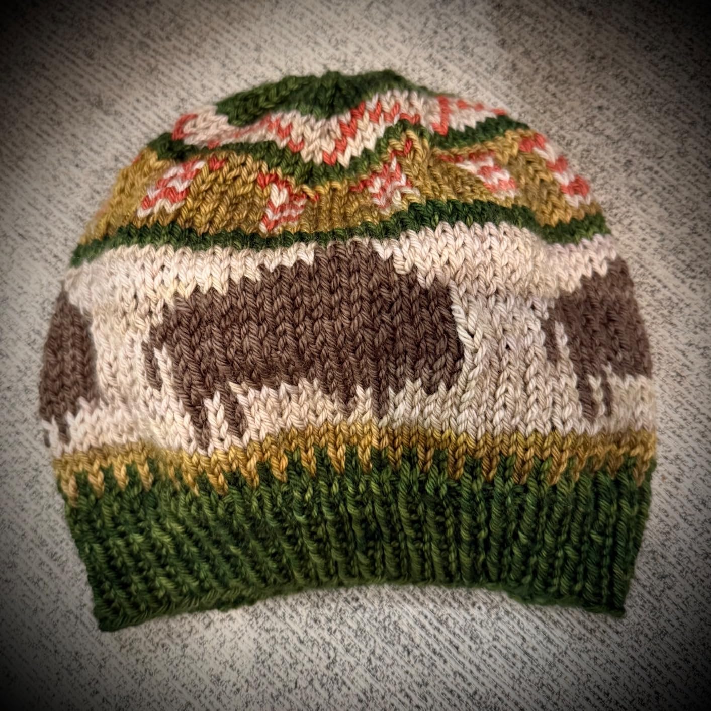 Knitting the National Parks: 63 Easy-to-Follow Designs for Beautiful Beanies Inspired by the US National Parks (Knitting Books and Patterns; Knitting Beanies) - Customer Photo 2