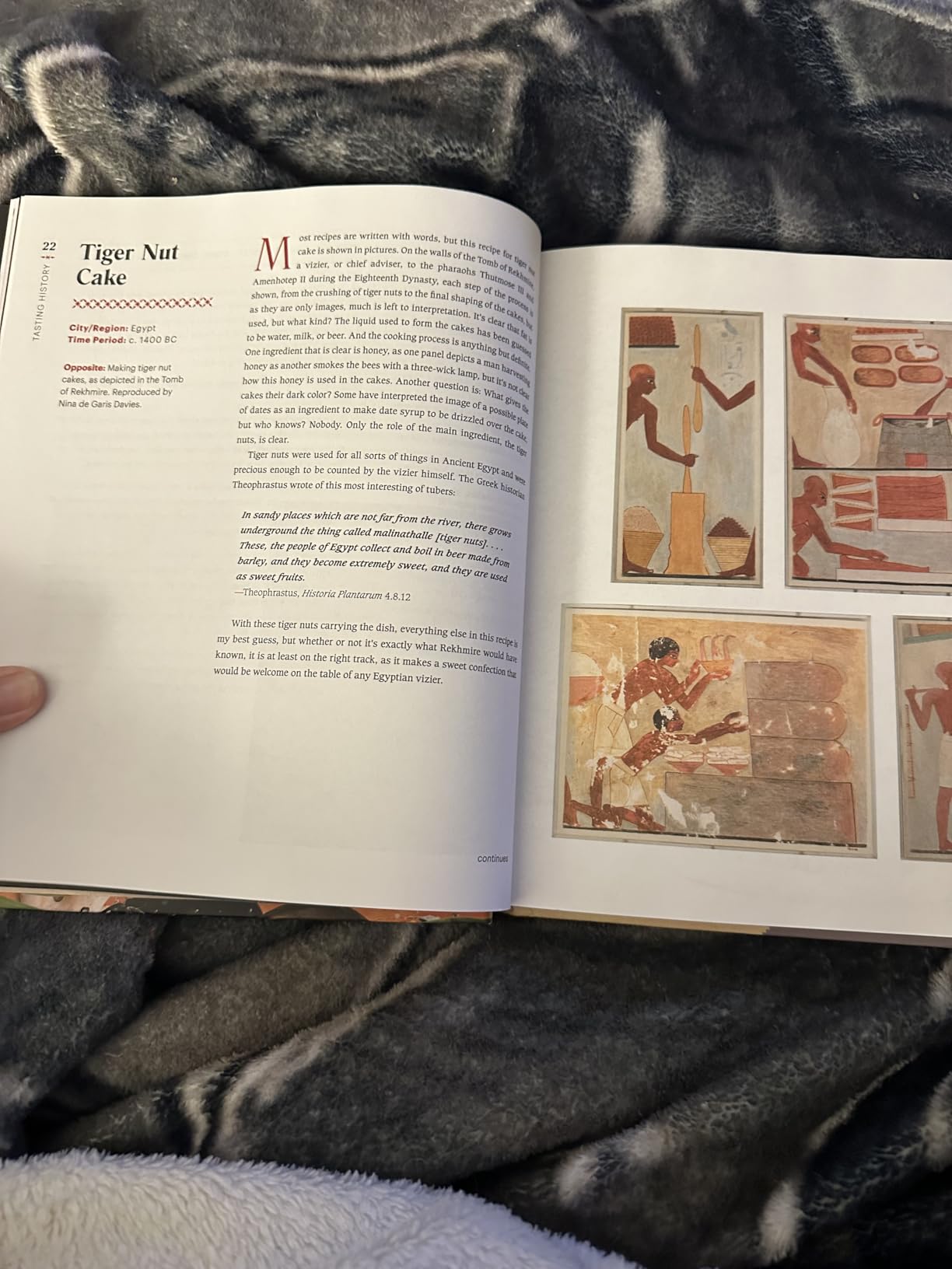 Tasting History: Explore the Past through 4,000 Years of Recipes (A Cookbook) - Customer Photo 1