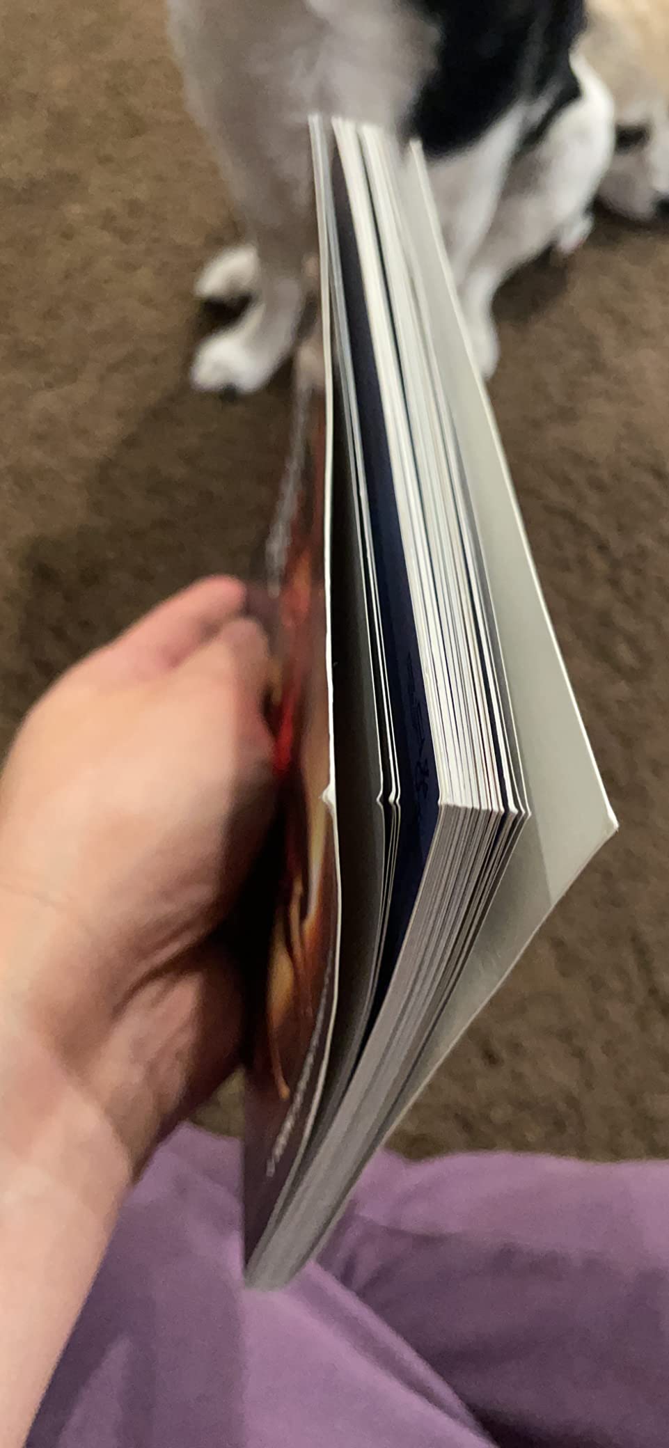 The Young Adventurer's Collection Box Set 1 [Dungeons & Dragons 4 Books]: Monsters & Creatures, Warriors & Weapons, Dungeons & Tombs, and Wizards & ... & Dragons Young Adventurer's Guides) - Customer Photo 1