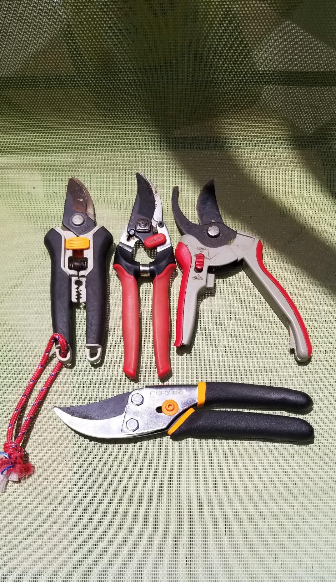 Fiskars Bypass Pruning Shears, 5/8-Inch Cut Capacity Garden Clippers, Gardening Scissors with Sharp, Rust Resistant Steel Blade - Customer Photo 2