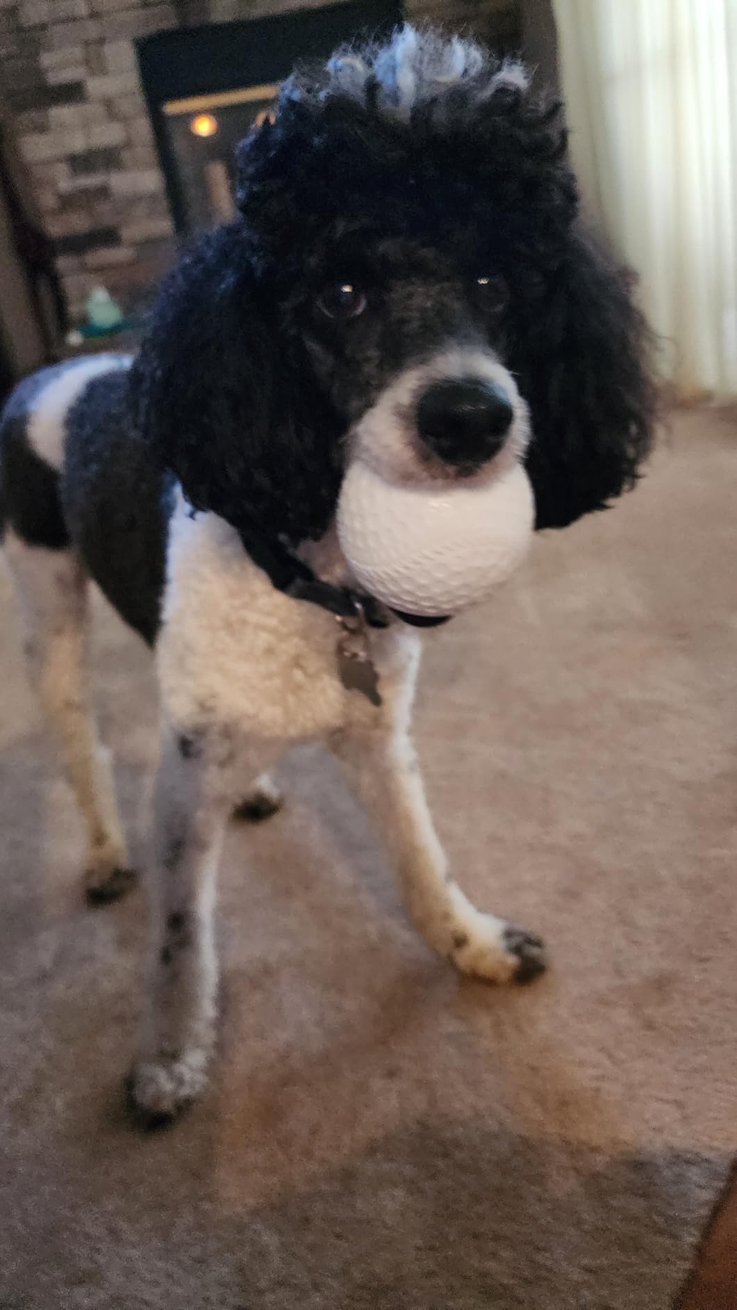 Franklin Sports MLB Electronic Baseball Pitching Machine - Automatic Youth Pitching Machine with (6) Plastic Baseballs Included -Youth Baseball Pitcher - Customer Photo 2