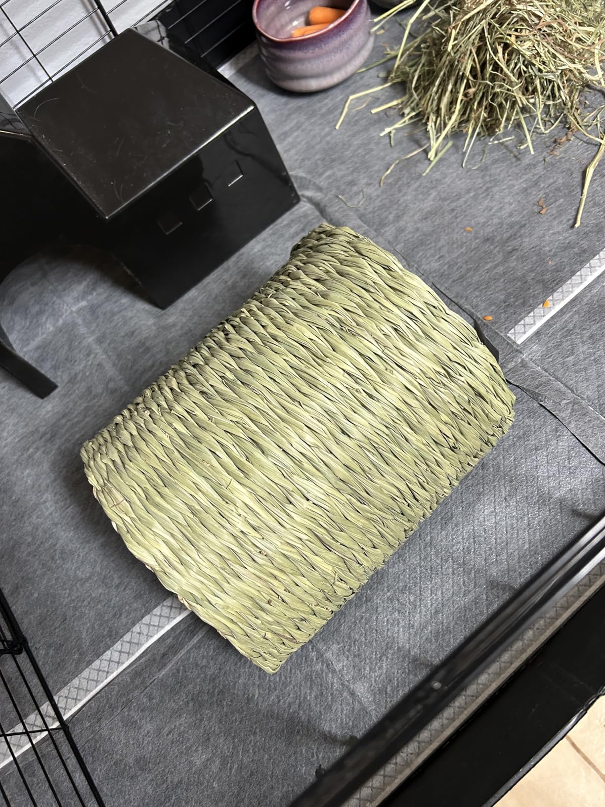 Oxbow Timothy Hay Tunnel, Guinea Pig Hideout, Rabbit & Bunny Tunnel, Edible & Hand-Woven Guinea Pig House, No Wires or String, Small Pet Accessories - Customer Photo 1