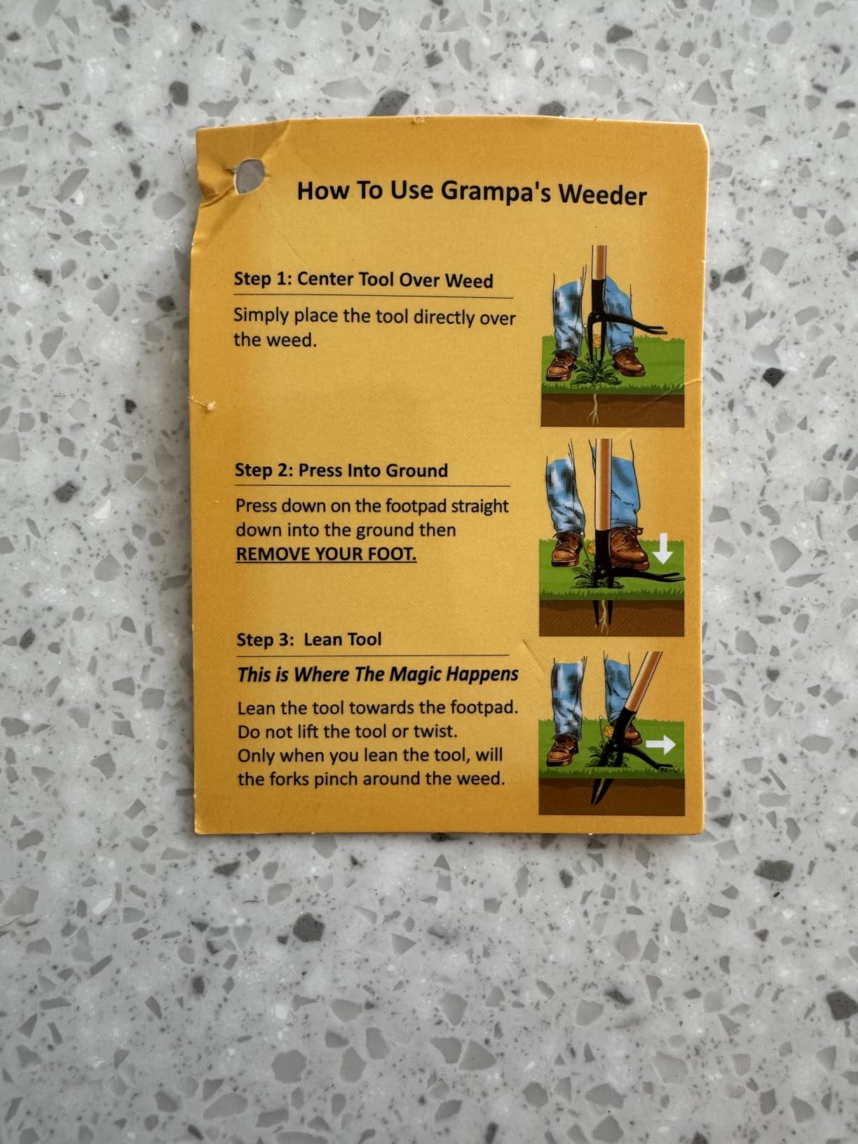 Grampa's Weeder - The Original Stand Up Weed Puller Tool with Long Handle - Made with Real Bamboo & 4-Claw Steel Head Design - Easily Remove Weeds Without Bending, Pulling, or Kneeling. - Customer Photo 2
