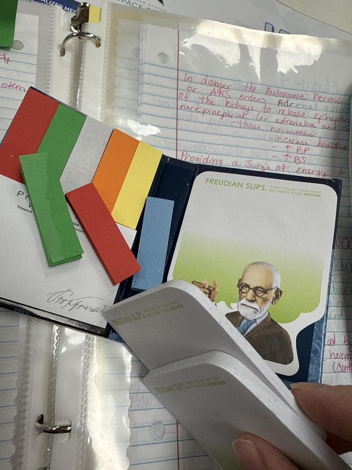 The Unemployed Philosophers Guild Freudian Slips Sticky Notes - Sigmund Freud Themed 3.25
