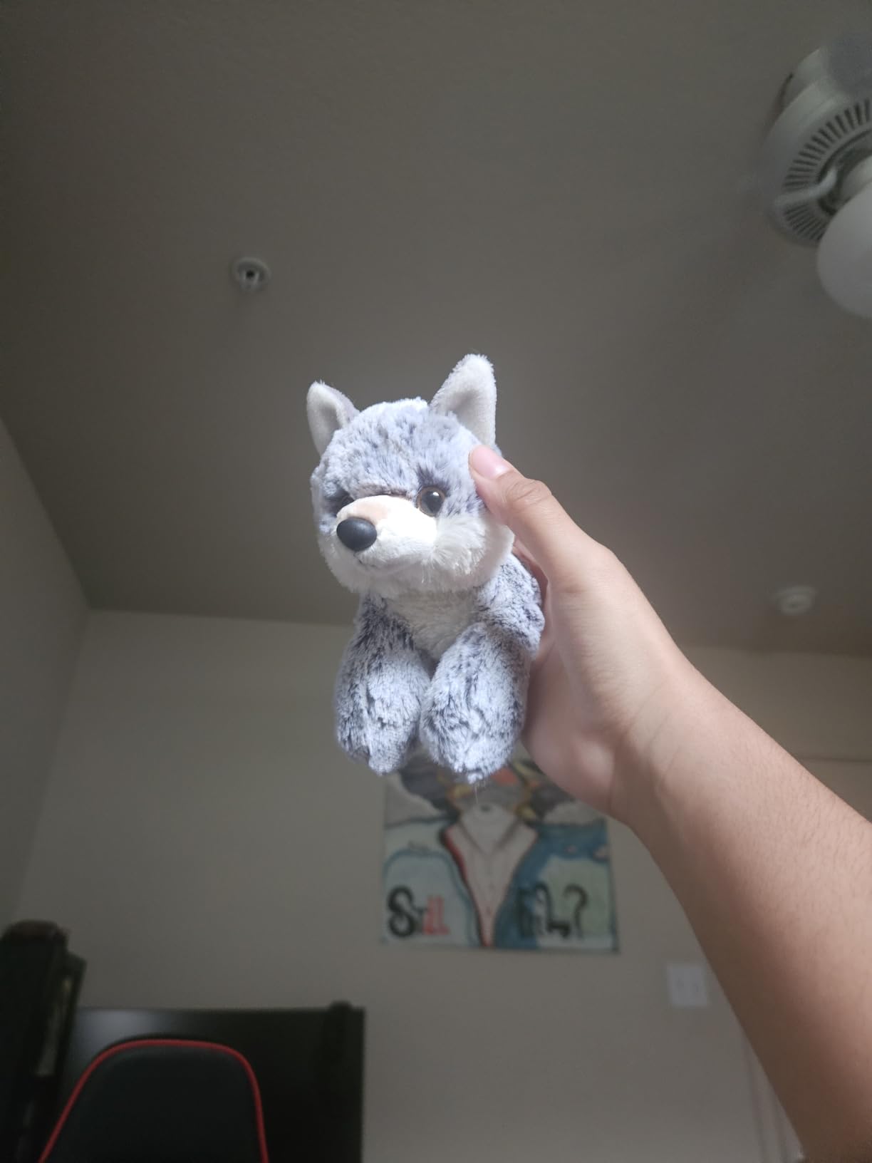 Aurora® Adorable Mini Flopsie™ Foxxie™ Stuffed Animal - Mini Companions Ready for Playful Adventures - for Kids All Ages, Toddlers, Adults, and Families - Orange 8 Inches Customer Review Aurora® Adorable Mini Flopsie™ Foxxie™ Stuffed Animal - Mini Companions Ready for Playful Adventures - for Kids All Ages, Toddlers, Adults, and Families - Orange 8 Inches - Customer Photo 2