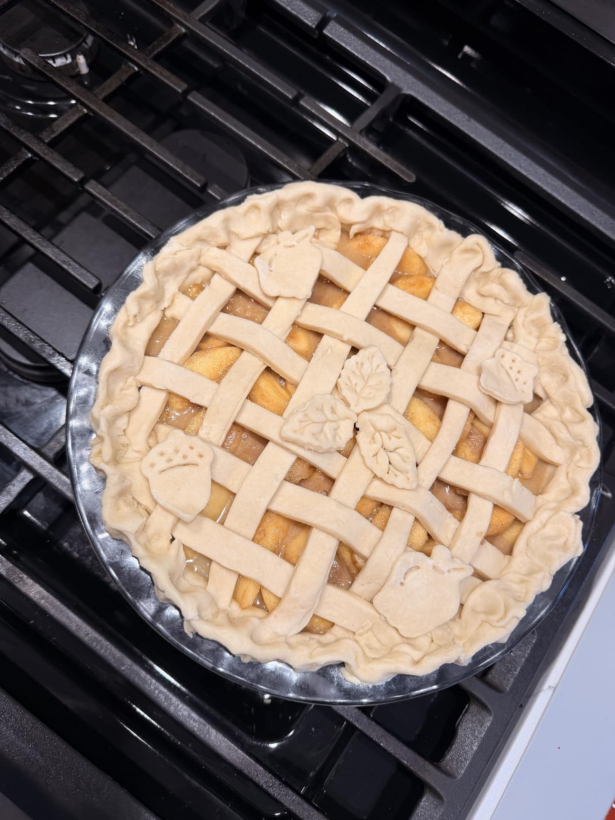 Fox Run Pie Top Cutters and Decorating Kit, 11-Piece Set - Customer Photo 1