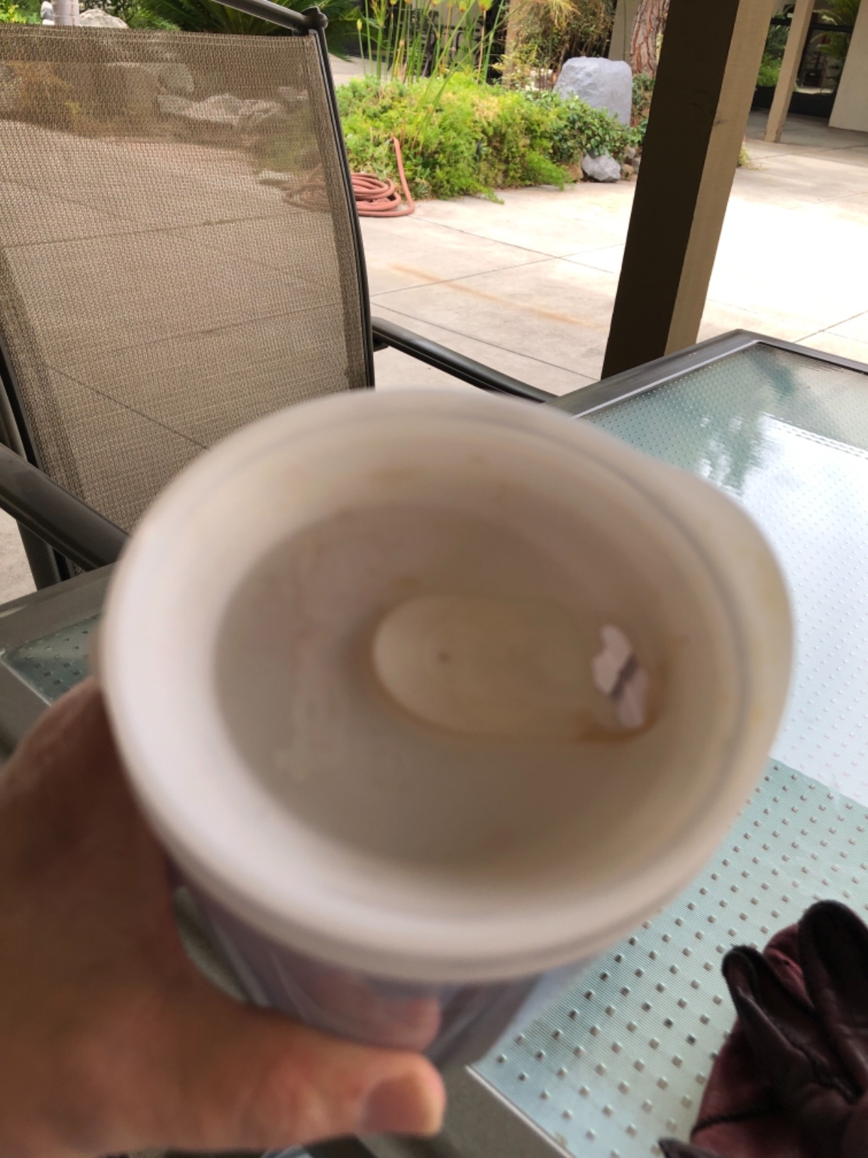 Tervis Plastic, Coca-Cola - Diet Coke Tumbler with Wrap and Frosted Lid 16oz, Clear - Customer Photo 2