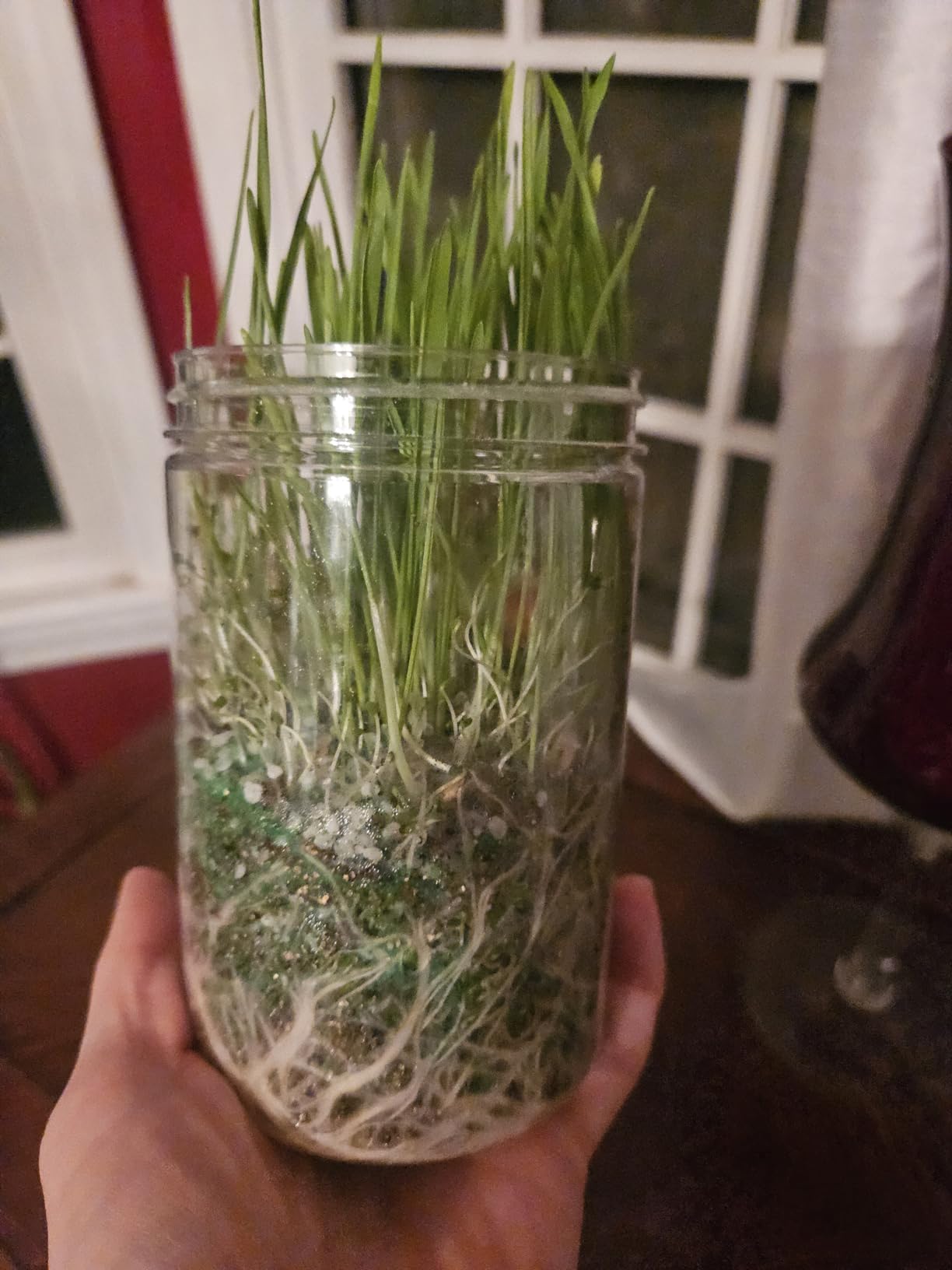 Creativity for Kids Grow 'N Glow Terrarium Kit - Educational Science Kits| Holiday Stocking Stuffers for Kids Gifts for Boys and Girls| Craft and STEM Projects (Ages 6+) - Customer Photo 1