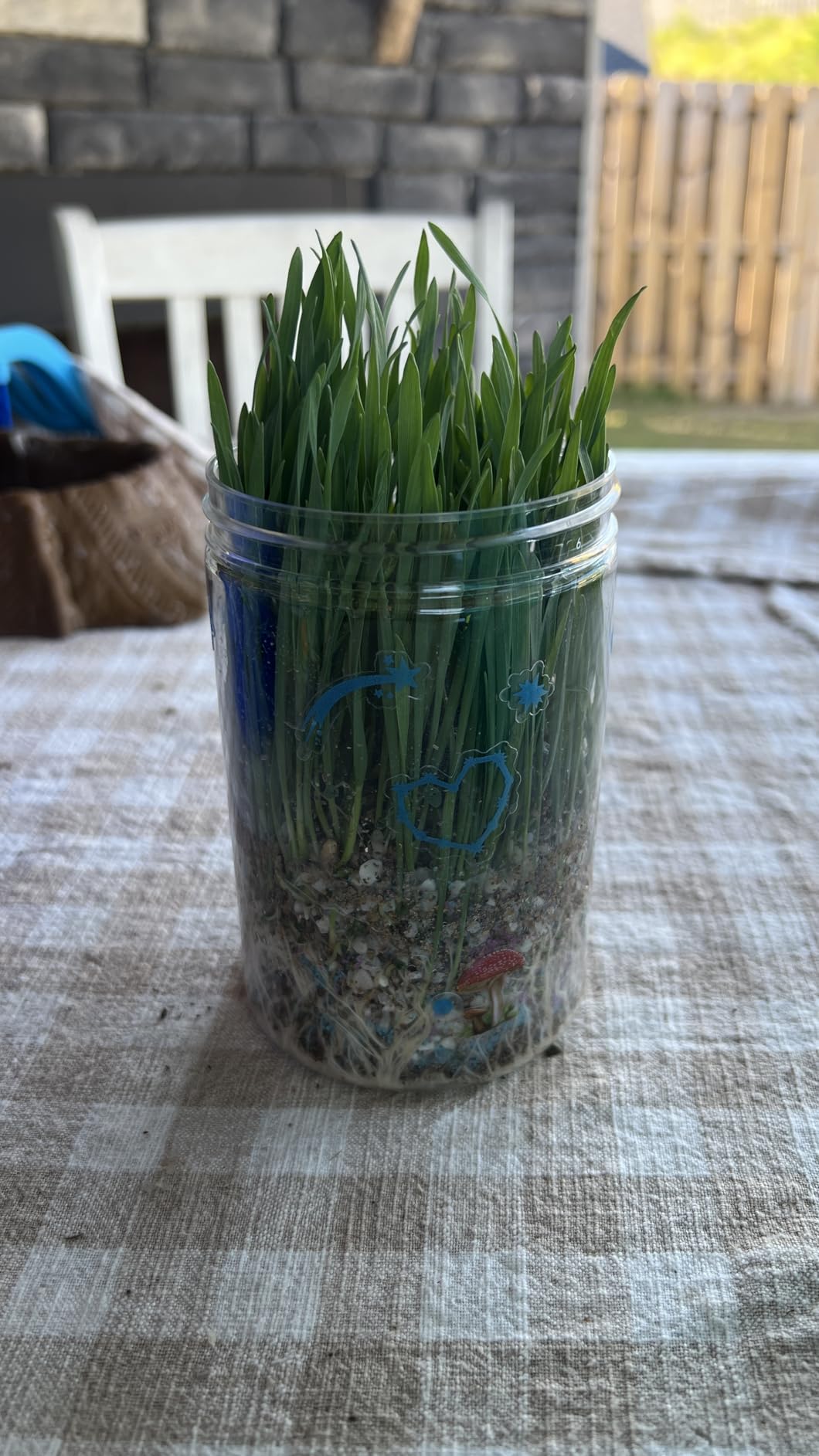 Creativity for Kids Grow 'N Glow Terrarium Kit - Educational Science Kits| Holiday Stocking Stuffers for Kids Gifts for Boys and Girls| Craft and STEM Projects (Ages 6+) - Customer Photo 2