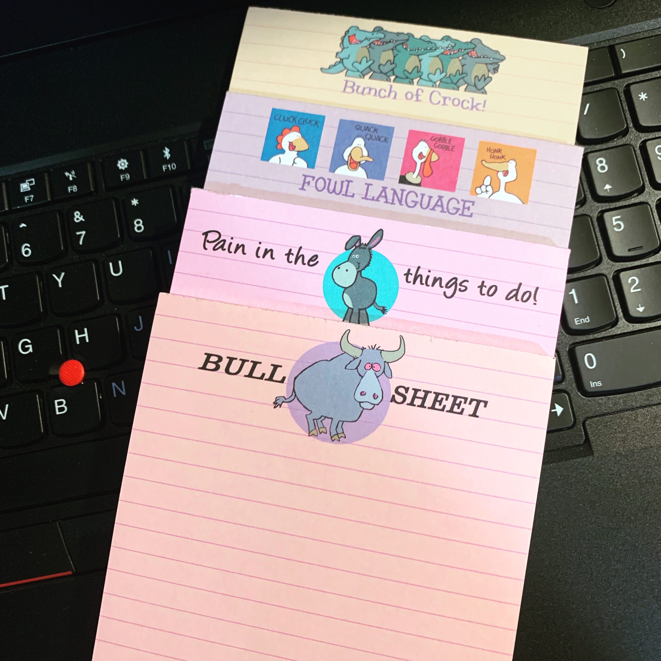 Stonehouse Collection Funny Notepads - Assorted Pack of 4 Note Pads - Funny Office Gifts for Coworkers, Women & Men - Made in USA Note Pad, 4.25 x 5.5 Inch Each - Cute Notepad & Fun Office Supplies - Customer Photo 3