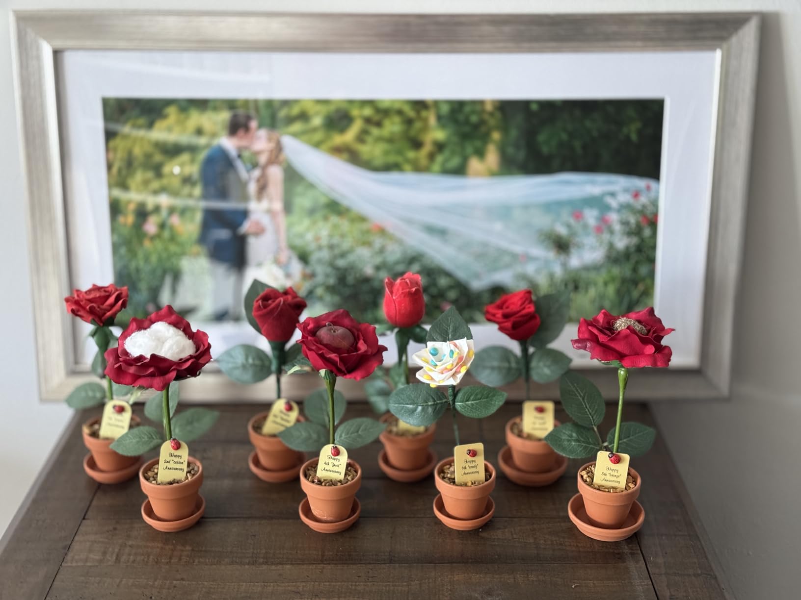 JustPaperRoses – Fruit Anniversary Desk Gift – Red Apple – 4th Year JustDeskRoses in Terra Cotta Pot – Handmade 4th Wedding Gift for Him or Her, Artificial Fruit Rose Decoration - Customer Photo 2