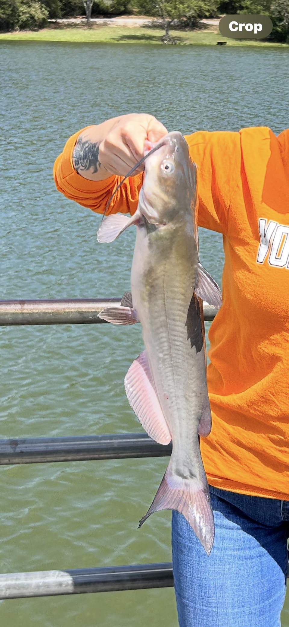 Reelsonar iBobber portable wireless bluetooth fish finder depth finder with depth range of 135 feet 10+ hrs battery life with IOS & Android App Wireless and Watch App Customer Review Reelsonar iBobber portable wireless bluetooth fish finder depth finder with depth range of 135 feet 10+ hrs battery life with IOS & Android App Wireless and Watch App - Customer Photo 1