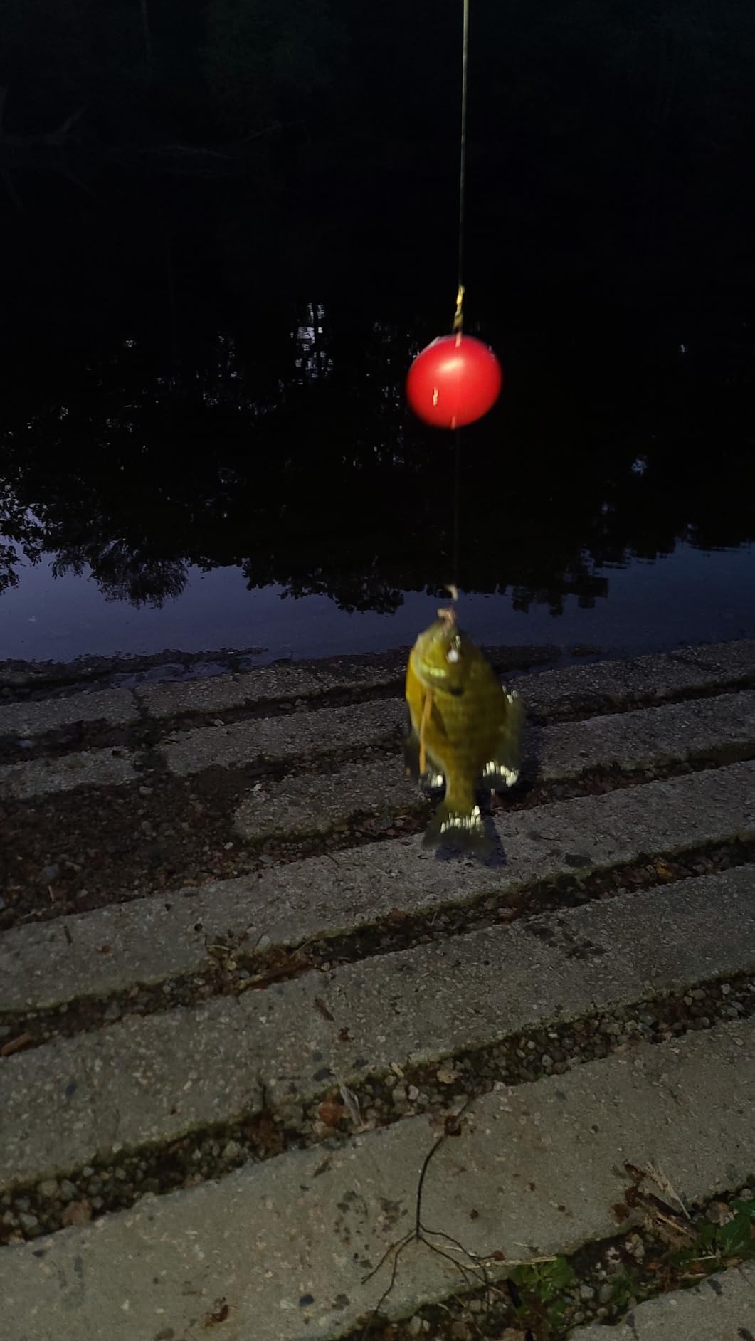 Reelsonar iBobber portable wireless bluetooth fish finder depth finder with depth range of 135 feet 10+ hrs battery life with IOS & Android App Wireless and Watch App Customer Review Reelsonar iBobber portable wireless bluetooth fish finder depth finder with depth range of 135 feet 10+ hrs battery life with IOS & Android App Wireless and Watch App - Customer Photo 3