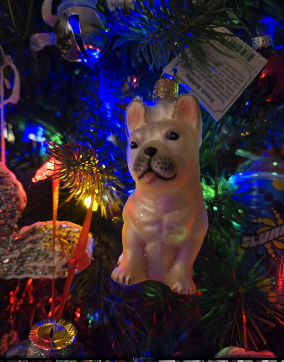 Old World Christmas Ornaments: French Bulldog Glass Blown Ornaments for Christmas Tree (12436) - Customer Photo 1
