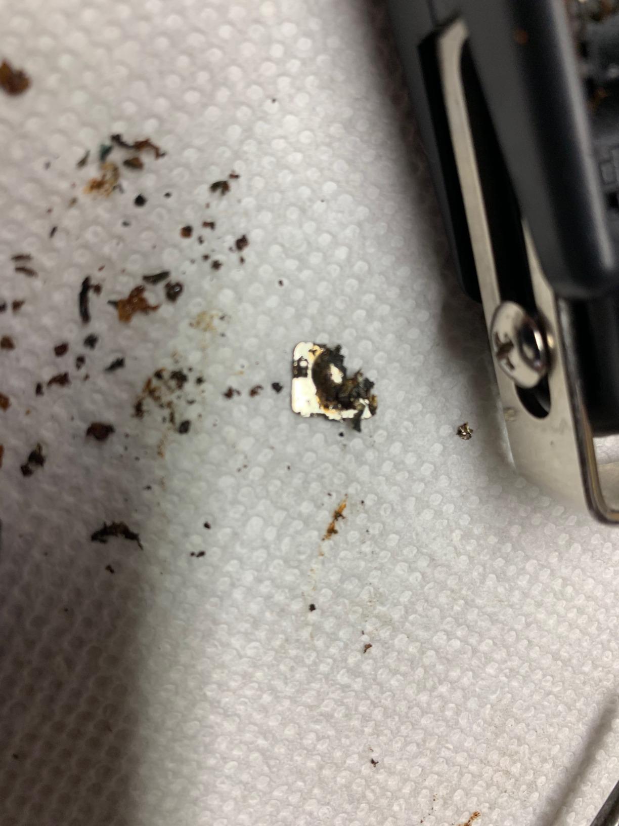 Fish Scale Luggage Scale Fishing Gear - 110lb Backlit LCD Display Digital Scale with Built-in Measuring Tape - Fishing Scale with 2 AAA Batteries, Pocket Size - Fishing Gifts for Men Customer Review Fish Scale Luggage Scale Fishing Gear - 110lb Backlit LCD Display Digital Scale with Built-in Measuring Tape - Fishing Scale with 2 AAA Batteries, Pocket Size - Fishing Gifts for Men - Customer Photo 4