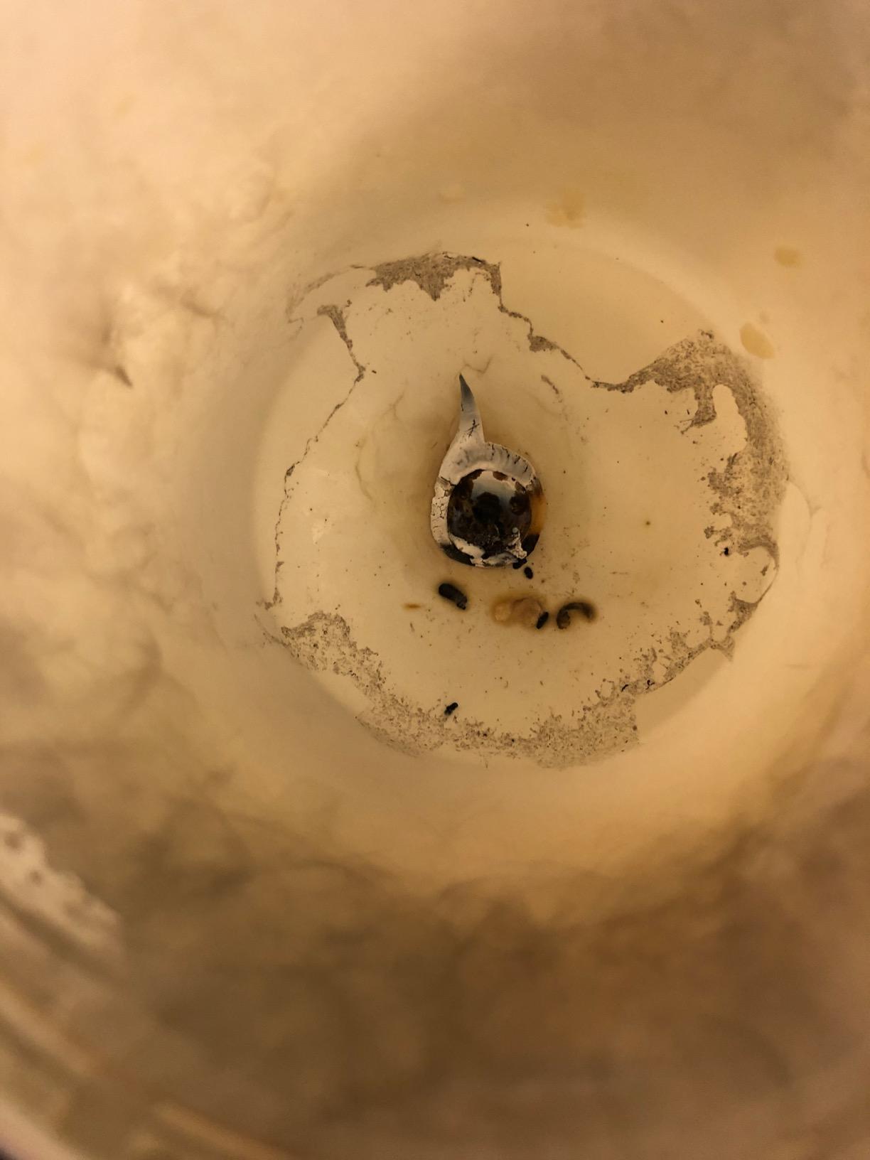 LA JOLIE MUSE Jasmine Candle, Mothers Day Gifts Candles for Women with Gift Box, Scented Candles for Home Scented, Luxury White Natural Soy Candle, 70 Hours 10 oz Customer Review LA JOLIE MUSE Jasmine Candle, Mothers Day Gifts Candles for Women with Gift Box, Scented Candles for Home Scented, Luxury White Natural Soy Candle, 70 Hours 10 oz - Customer Photo 1