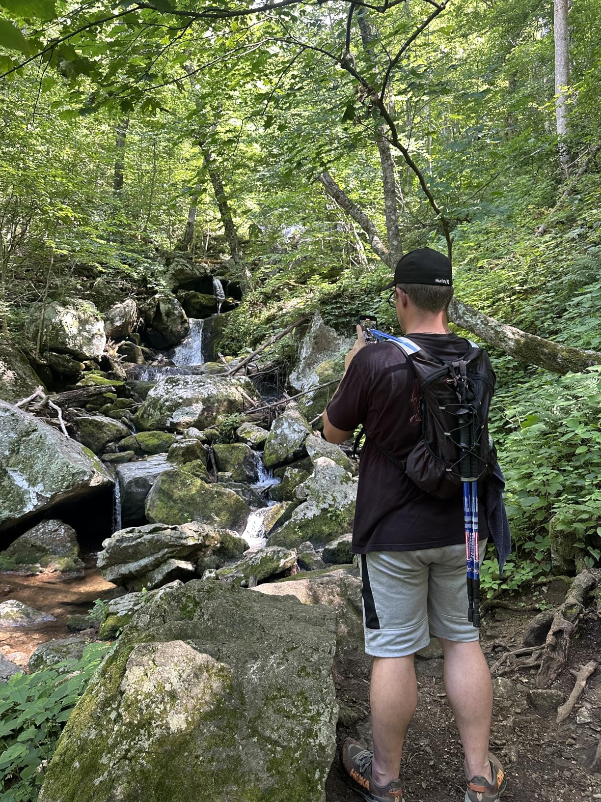 Aihoye Hiking Trekking Poles, 2 Pack Collapsible, Lightweight, Anti Shock, Walking Sticks, Adjustable Hiking Pole for Men and Women - Customer Photo 1