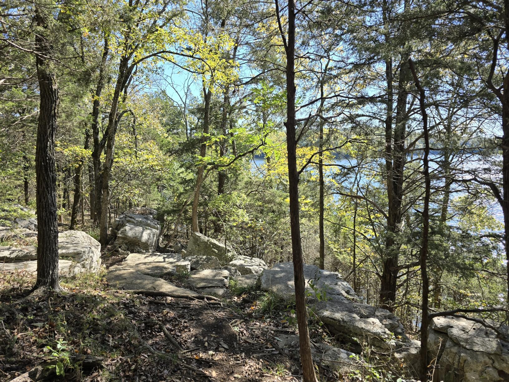 TrailBuddy Trekking Poles – Lightweight 7075 Aluminum Hiking Poles for Women, Men & Seniors – Collapsible Walking Sticks for Travel, Trails & Balance - Customer Photo 1