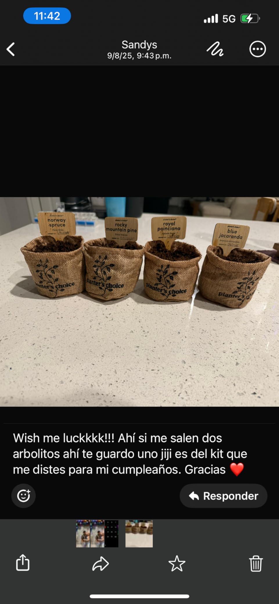 Bonsai Starter Kit - Gardening Easter Gift for Women & Men - Bonsai Tree Growing Garden Crafts Hobby Kits for Adults, Unique DIY Hobbies for Plant Lovers - Unusual Christmas Gifts Ideas - Customer Photo 2