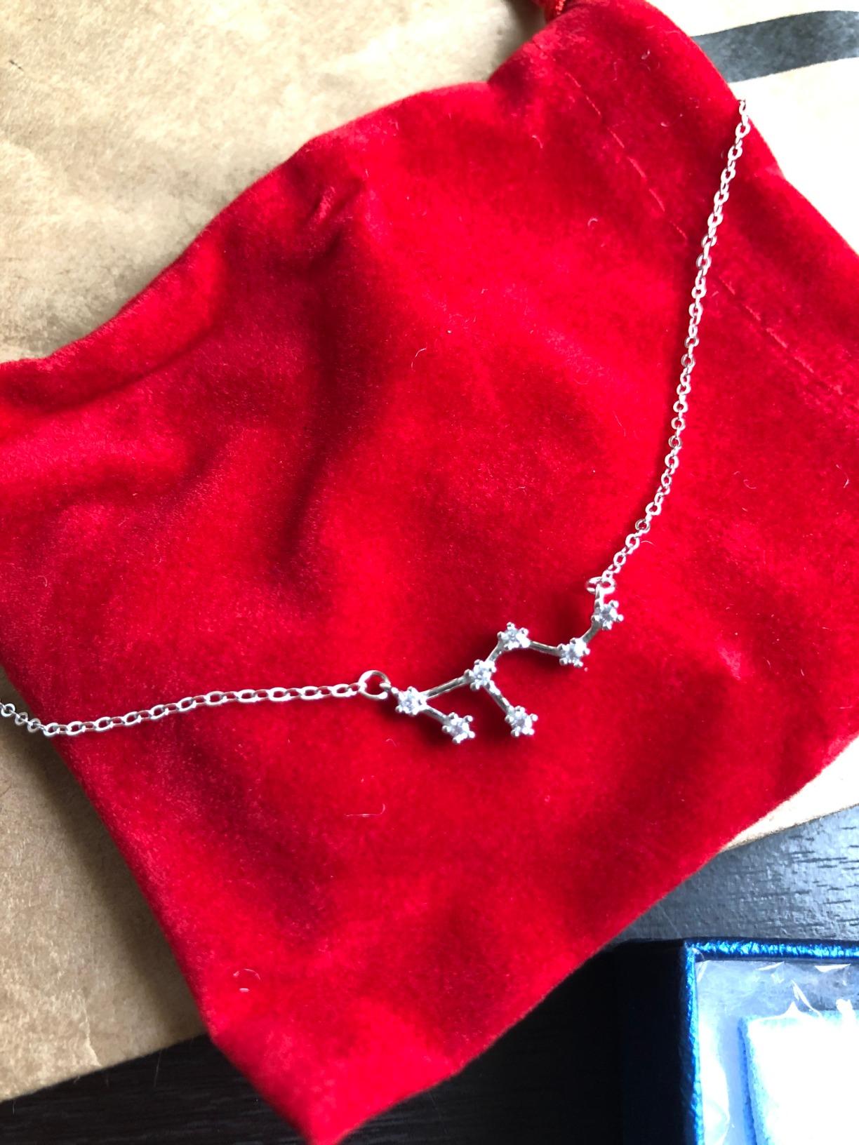 BriLove Gifts for Mom Women 925 Sterling Silver CZ Horoscope Zodiac 12 Constellation Astrology Pendant Necklace for Mothers Day/Valentines Day/Birthday/Christmas/Anniversary - Customer Photo 1