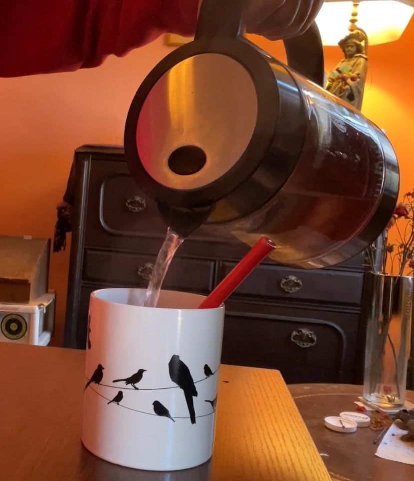 The Unemployed Philosophers Guild Birds on a Wire Heat Changing Mug - Add Coffee and Colorful Birds Appear, Comes in a Fun Box - Customer Photo 2