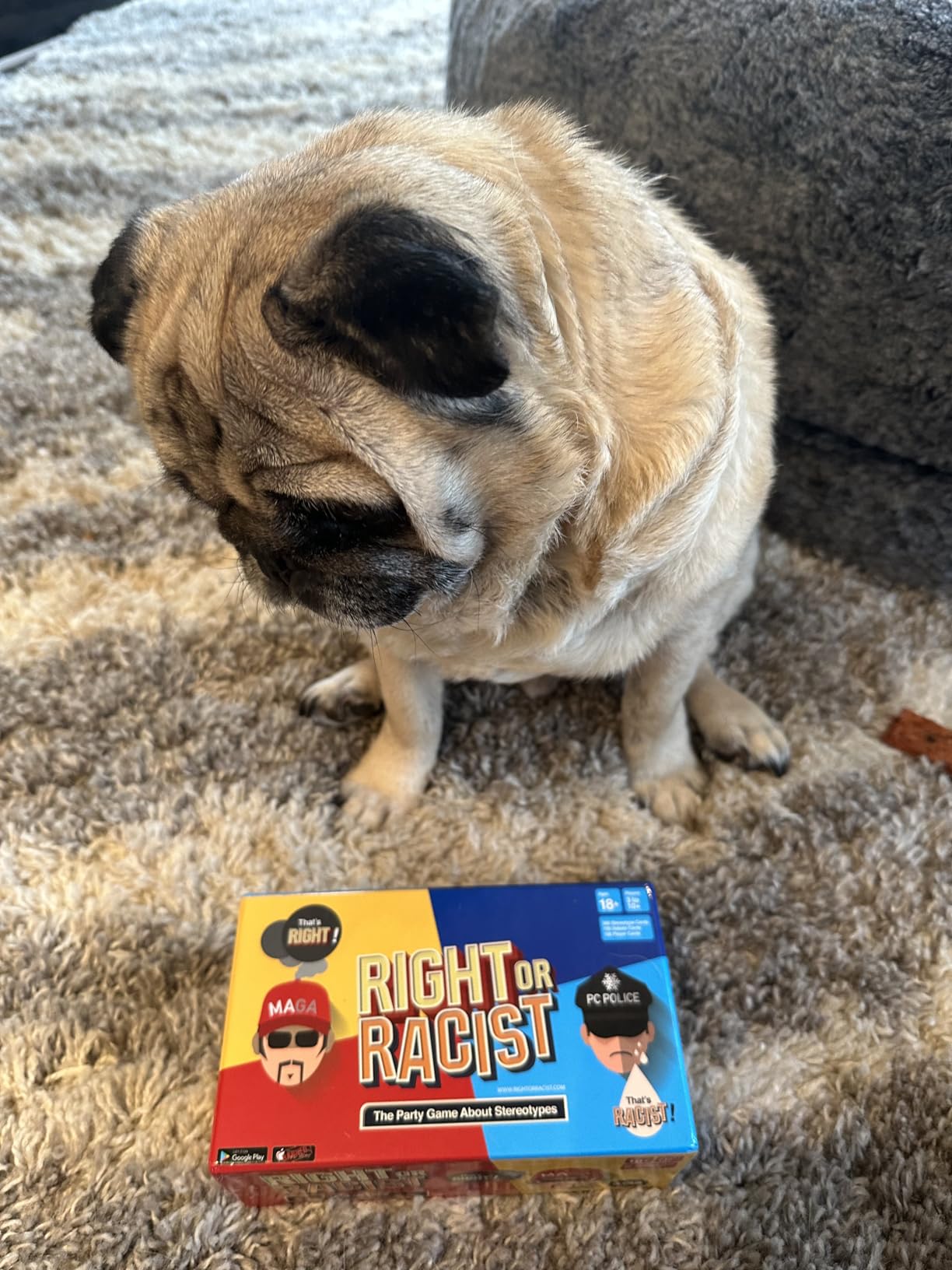 Card Game, Gag Gift with Hundreds of Trivia and Debate Cards, Funny Gag Gifts for Secret Santa or White Elephant, Games for Men and Women, 3 to 10+ Players Customer Review Card Game, Gag Gift with Hundreds of Trivia and Debate Cards, Funny Gag Gifts for Secret Santa or White Elephant, Games for Men and Women, 3 to 10+ Players - Customer Photo 2