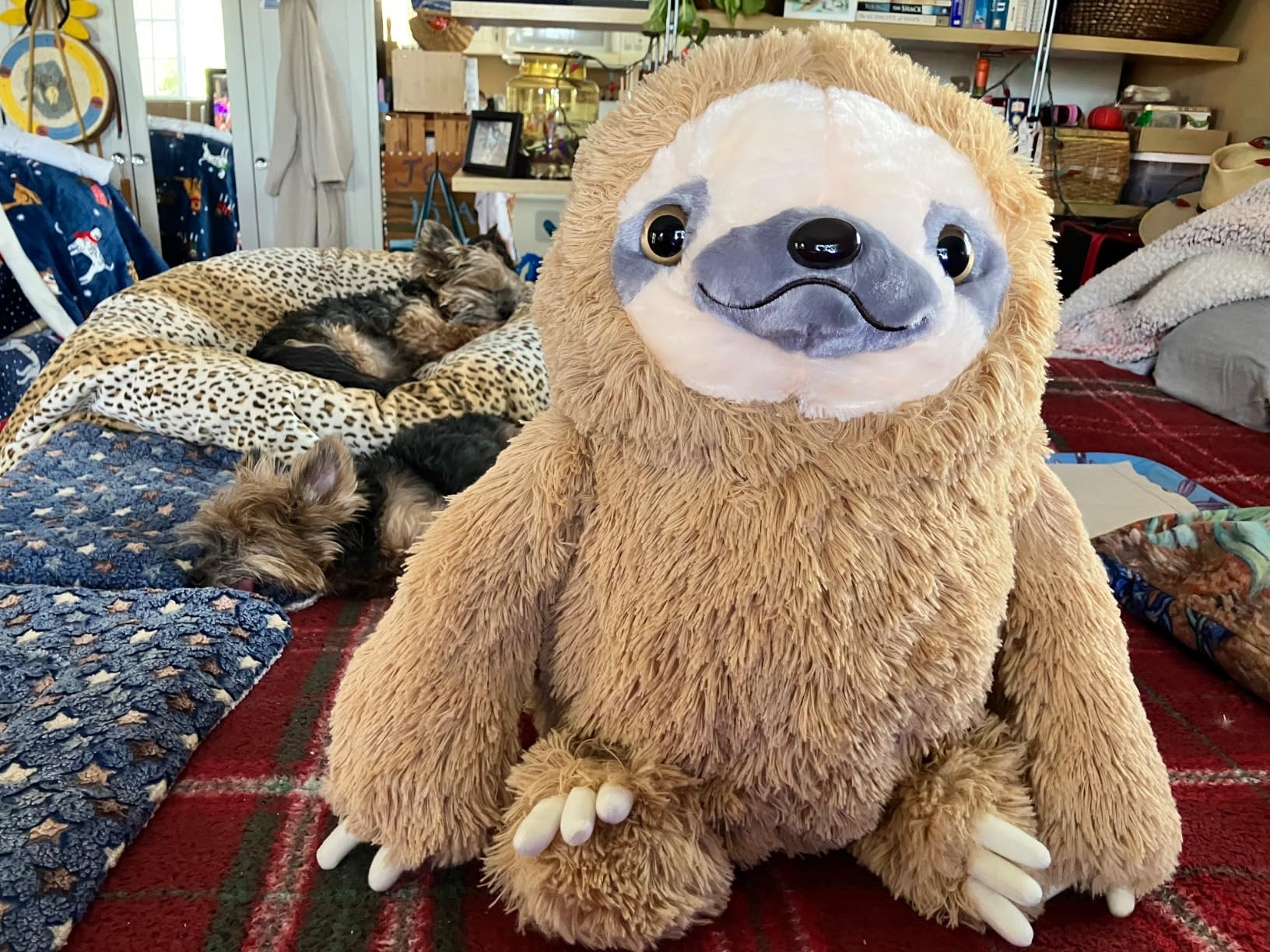 Winsterch Large Sloth Stuffed Animal,Kids Fluffy Stuffed Sloth Teddy Bear Birthday, Big Plush Sloth Gifts for Boys and Girls Sloth Toy (20 Inches, Brown) Customer Review Winsterch Large Sloth Stuffed Animal,Kids Fluffy Stuffed Sloth Teddy Bear Birthday, Big Plush Sloth Gifts for Boys and Girls Sloth Toy (20 Inches, Brown) - Customer Photo 1