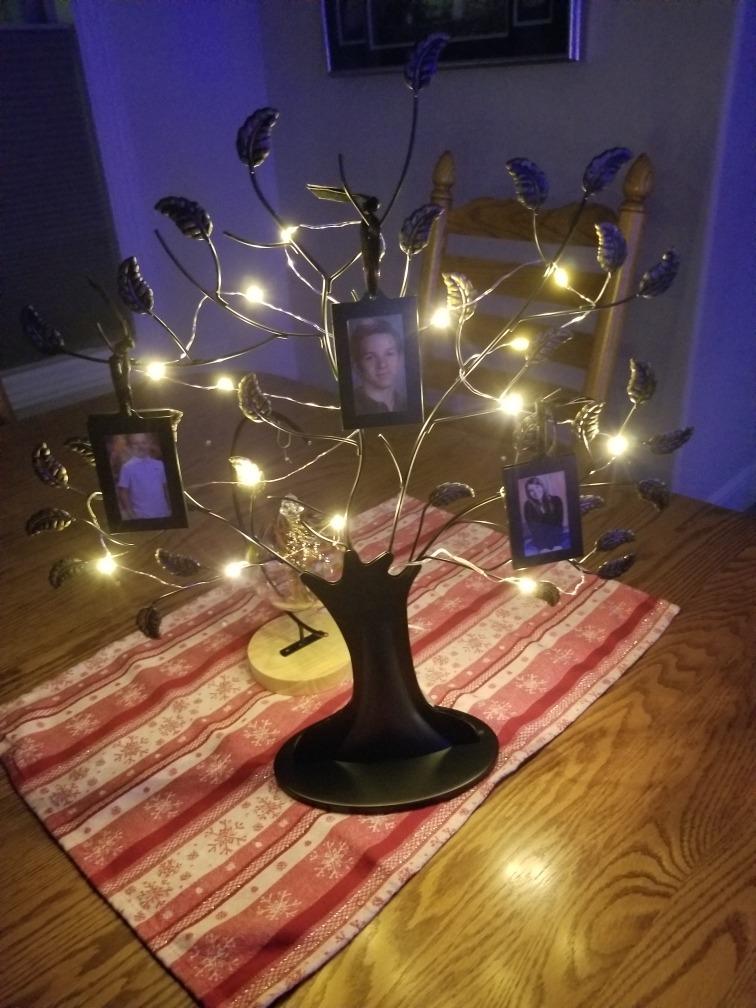 Americanflat Family Tree Picture Frame - Includes 6 Hanging 2x3 Picture Frames - Adjustable Ribbon Tassels - Ideal as Mother's Day Gifts, Birthday Gifts, or Christmas Decor - Black and Bronze - Customer Photo 2