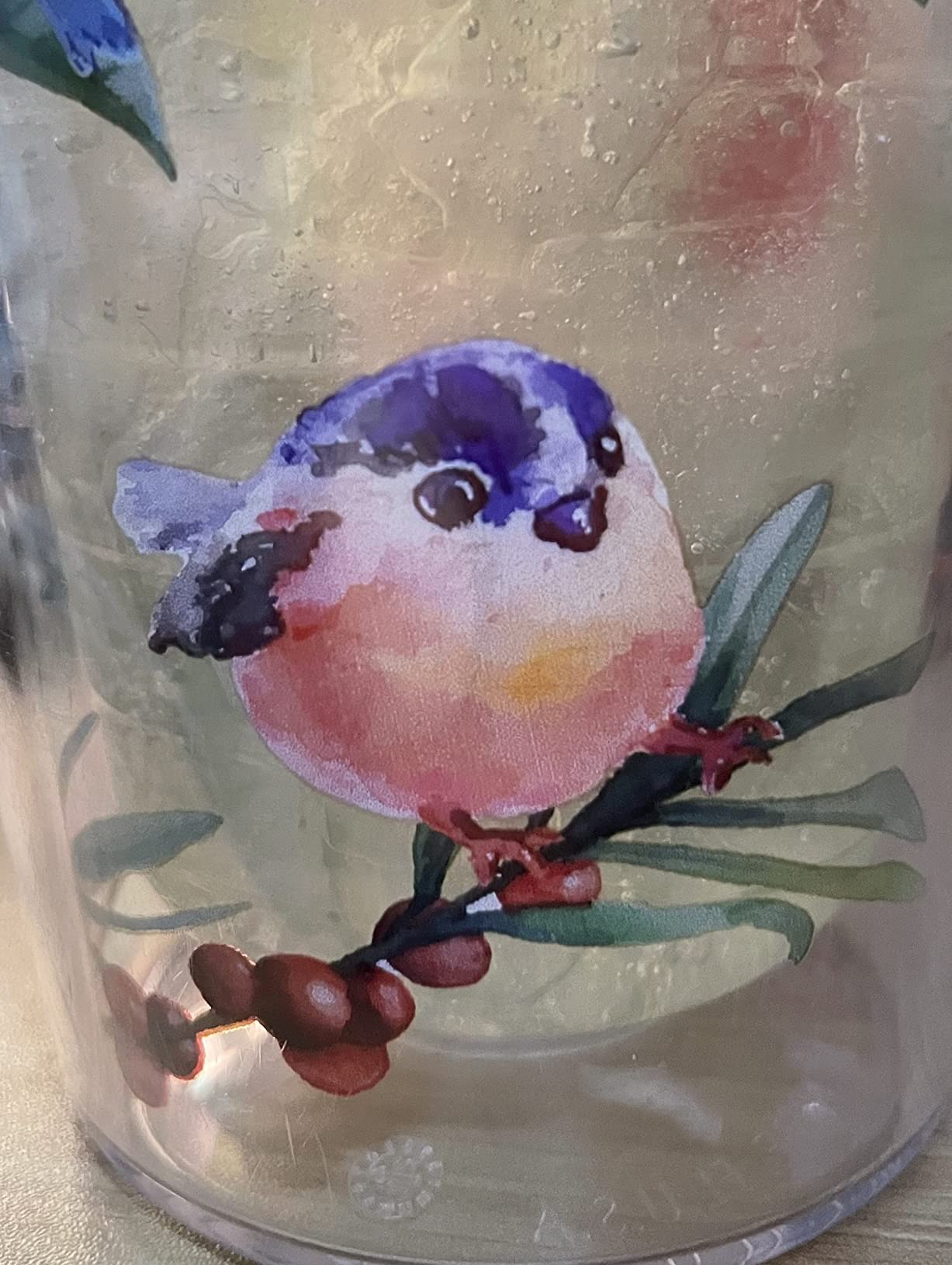 Tervis Watercolor Songbirds Made in USA Double Walled Insulated Tumbler Cup Keeps Drinks Cold & Hot, 24oz, Clear - Customer Photo 2