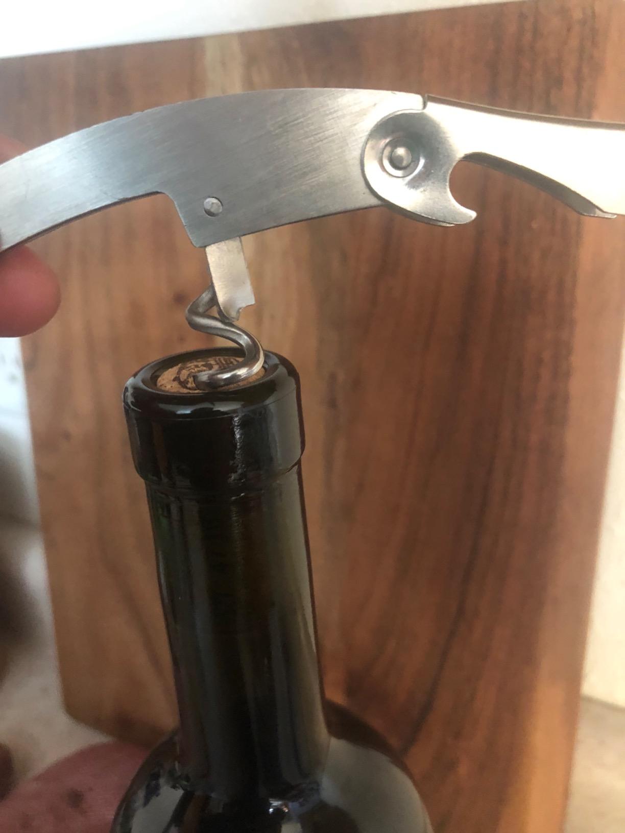 Kato Wine Accessories Gift Set - Bottle Corkscrew Opener Kit, Drip Ring, Foil Cutter, Wine Pourer and Stopper in Novelty Bottle-Shaped Case - Valentine's Gift, Black - Customer Photo 2