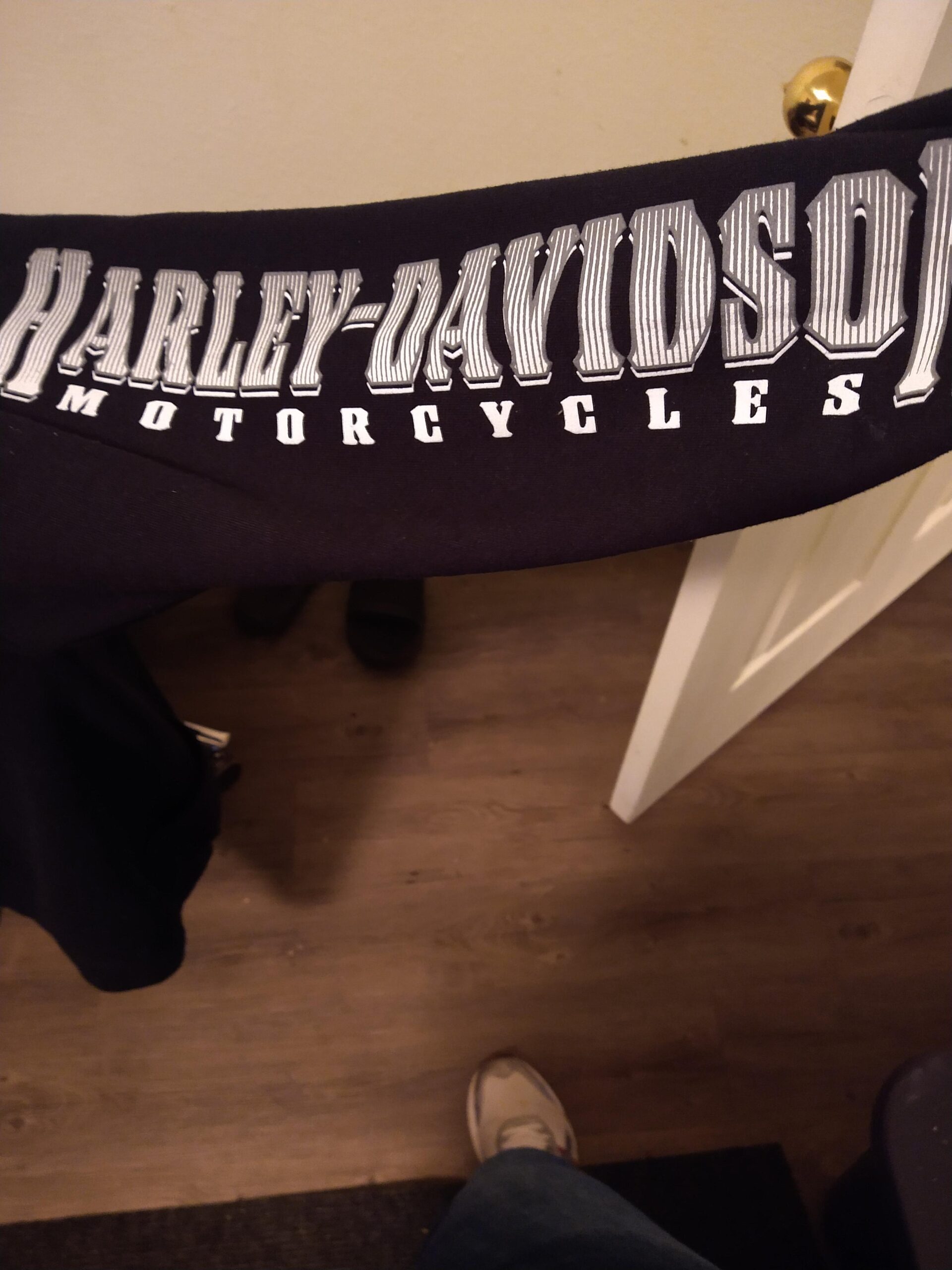 Harley-Davidson Men's Lightning Crest Full-Zippered Hooded Sweatshirt, Black - Customer Photo 2