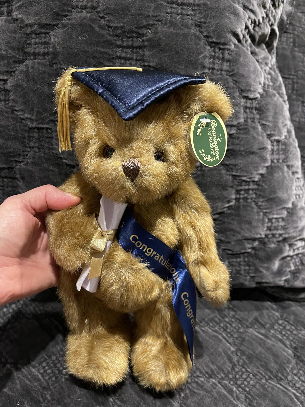 Bearington Wisdom Graduation Plush Owl Stuffed Animal, Black Cap with Diploma & Sash, 8.5 Inch Customer Review Bearington Wisdom Graduation Plush Owl Stuffed Animal, Black Cap with Diploma & Sash, 8.5 Inch - Customer Photo 2
