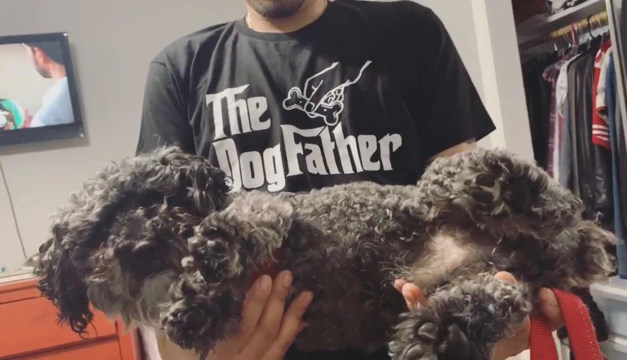 The Dogfather - Funny, Cute Dog Father Dad Owner Pet Doggo Pup Fun Humor T-Shirt-(Adult,L) - Customer Photo 1