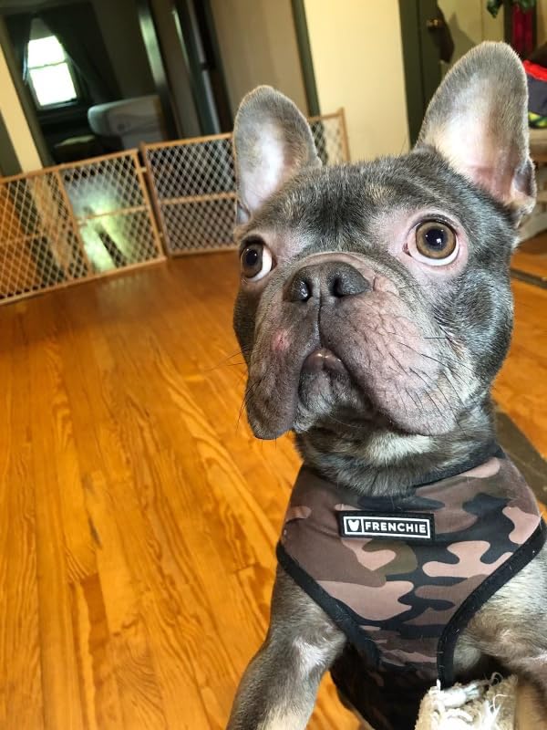 Living Nature French Bulldog Puppy Stuffed Animal | Fluffy Dog Animal | Soft Toy for Kids | 6 inches - Customer Photo 2