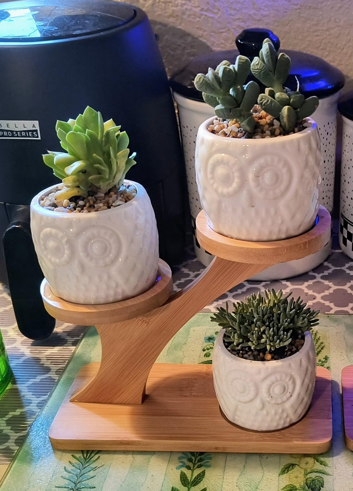 3pcs Owl Succulent Pots with 3 Tier Bamboo Saucers Stand Holder - White Modern Decorative Ceramic Flower Planter with Drainage - Home Office Desk Garden Mini Cactus Plant Pot Indoor Decoration - Customer Photo 1