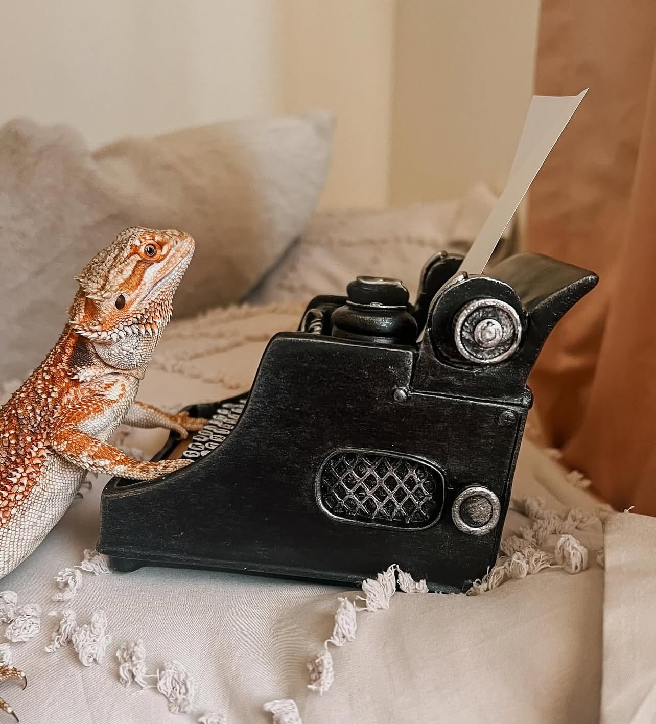 Retro/Shabby Chic/Vintage Typewriter Pencil Holder for Desk/Desk Organizer for Writer's Desk- Nostalgic Gift for Writers/Gift for Vintage Lovers/Gift for Typewriter Lovers - Customer Photo 1