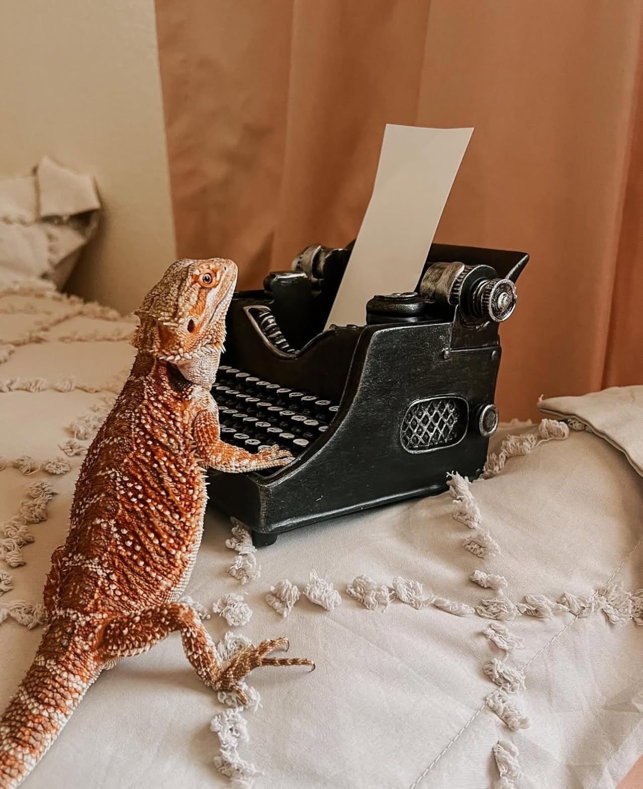 Retro/Shabby Chic/Vintage Typewriter Pencil Holder for Desk/Desk Organizer for Writer's Desk- Nostalgic Gift for Writers/Gift for Vintage Lovers/Gift for Typewriter Lovers - Customer Photo 2