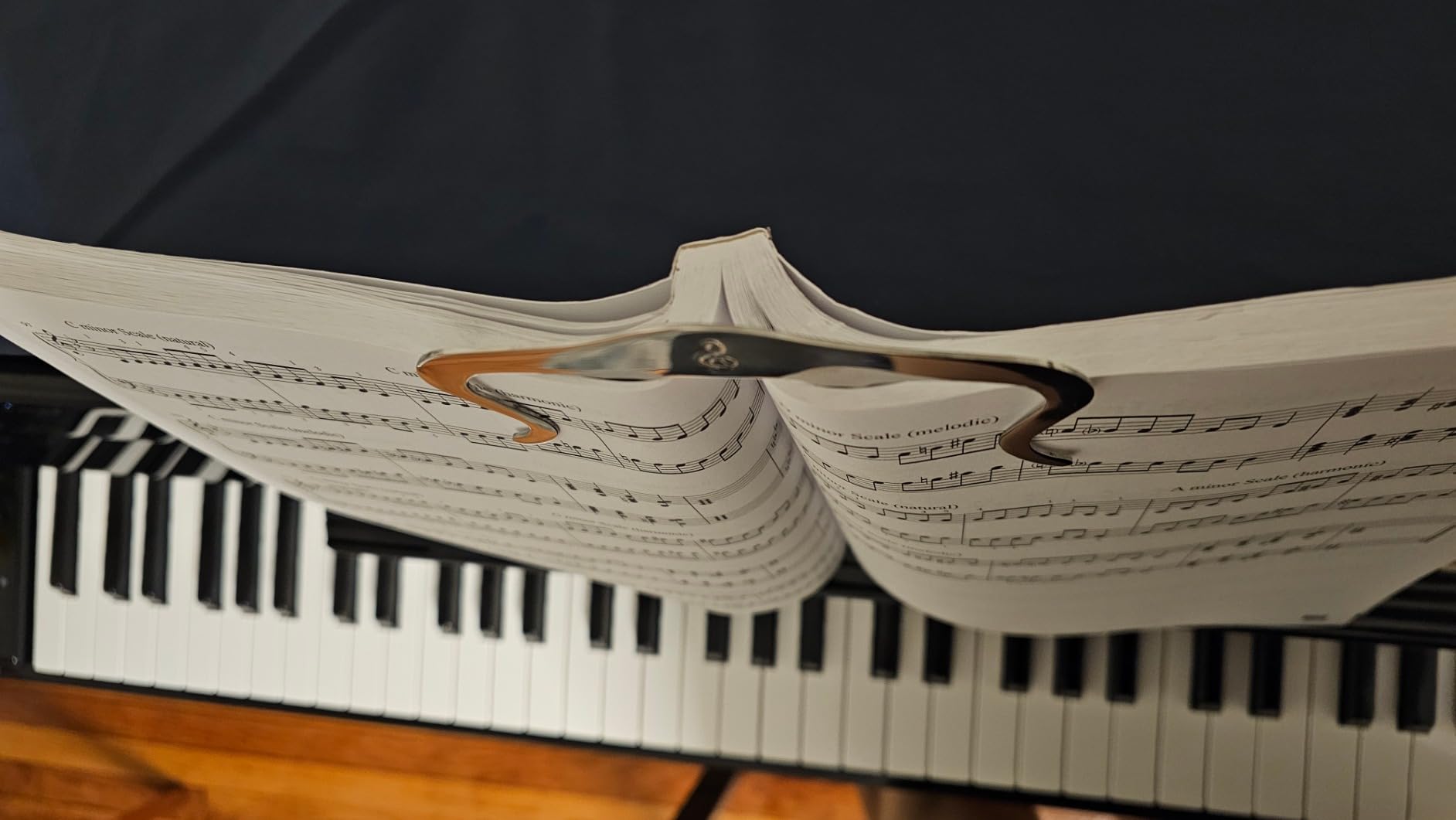 Metal Music Book Clip and Page Holder - Sheet Music Holders for Piano, Keyboard, Stands, and Books - Adorable Page Marker Clips ​with​ ​Velvet Storage and Carrying Bag​ - Strong, Sturdy - Customer Photo 1